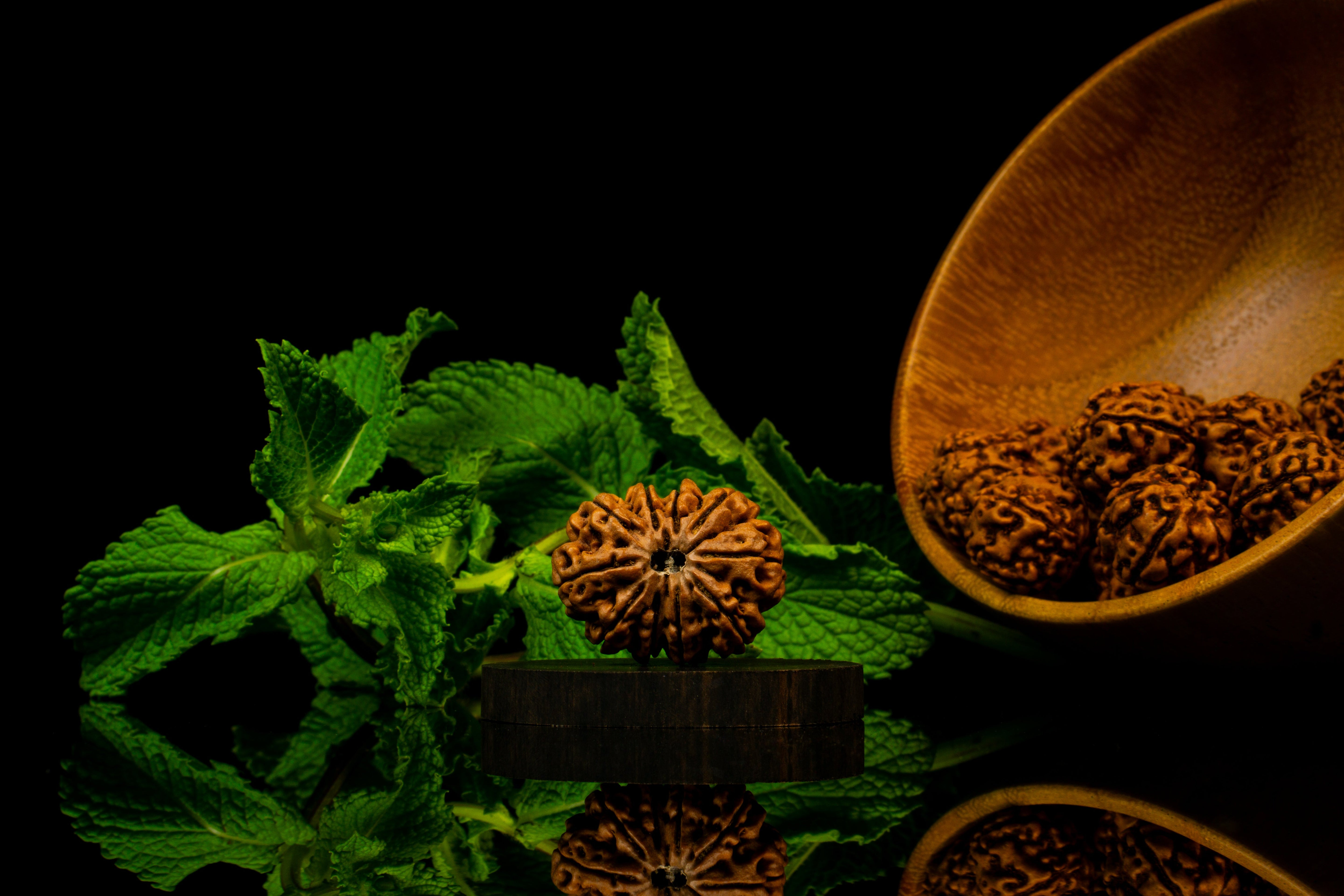 10 Face Rudraksha