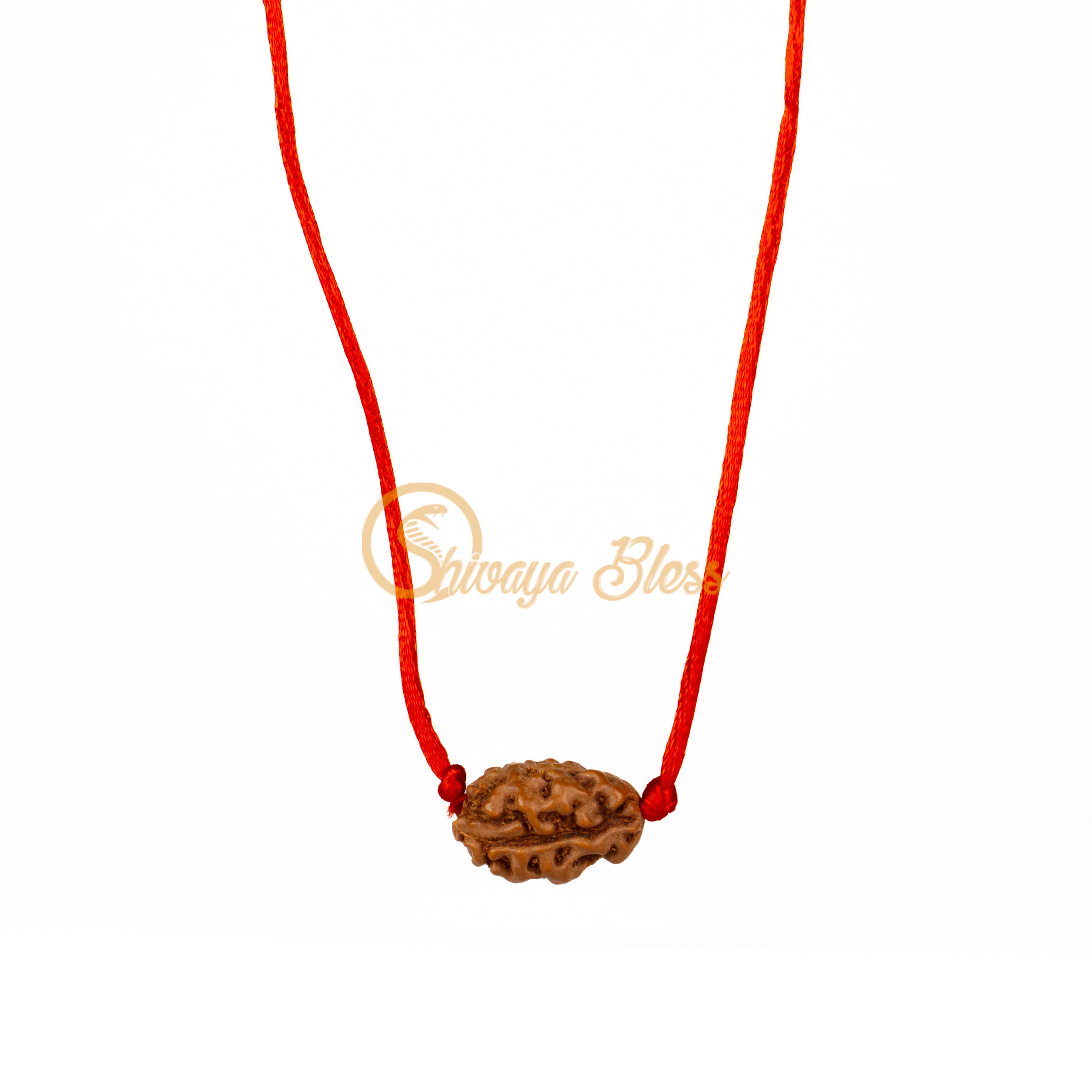 2 Face Rudraksha Pendant Necklace (India)