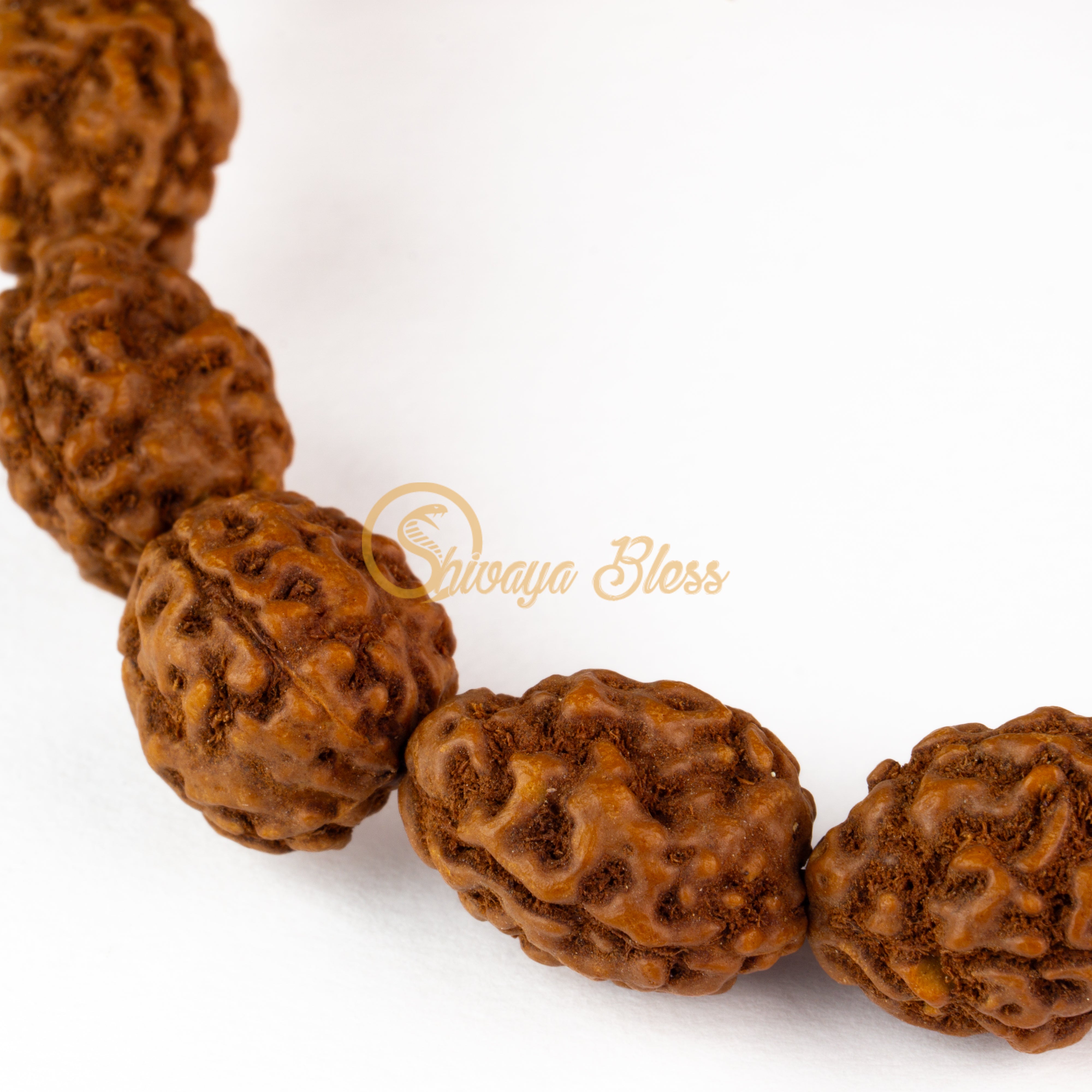 Close-up view of a regular ASEAN 3 mukhi Rudraksha bracelet, displayed against a white background