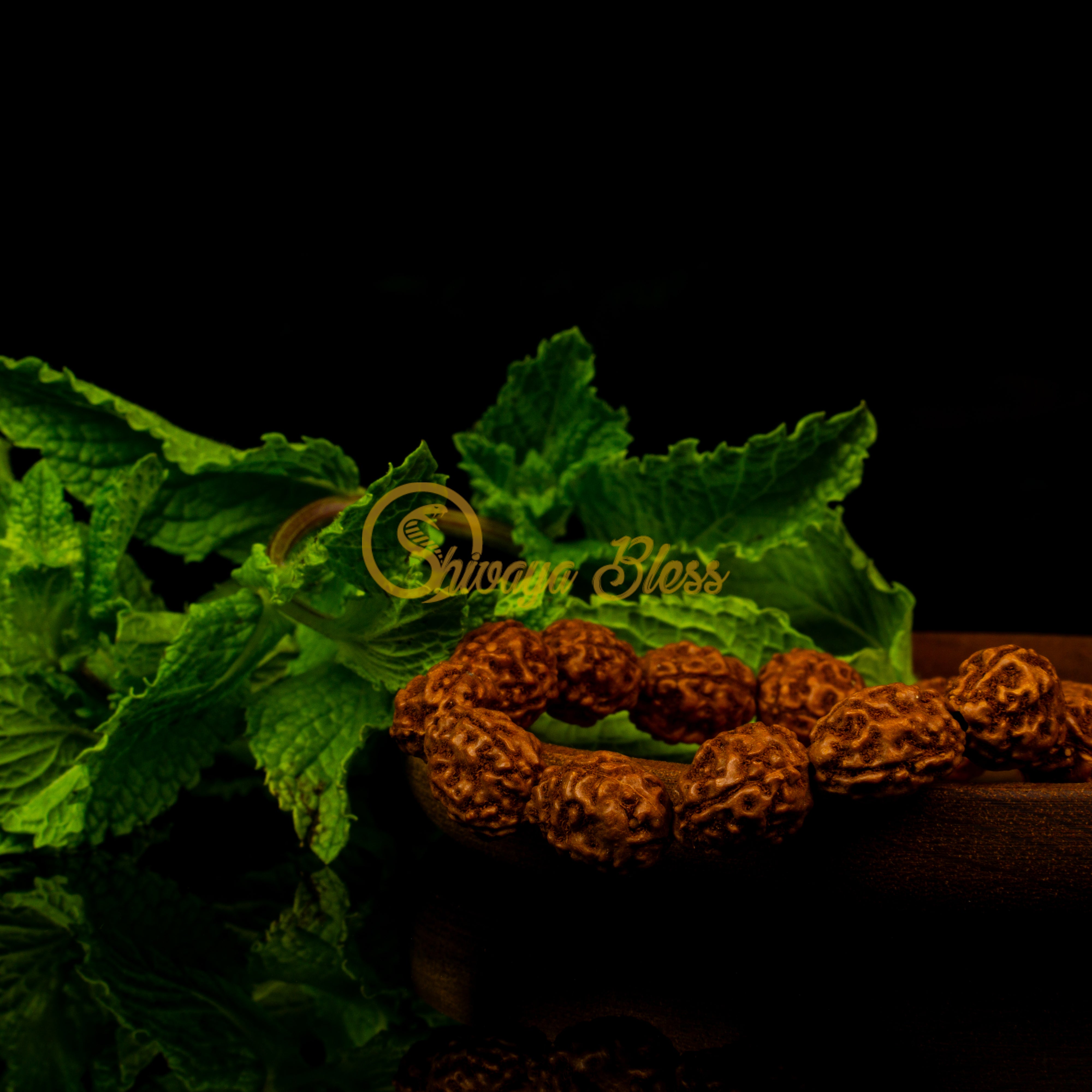 Close-up view of a regular ASEAN 3 mukhi Rudraksha bracelet on a wooden plate, displayed against a black background