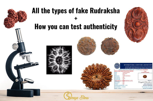 Don't Get Duped: Verify Genuine Rudraksha using these Foolproof Ways