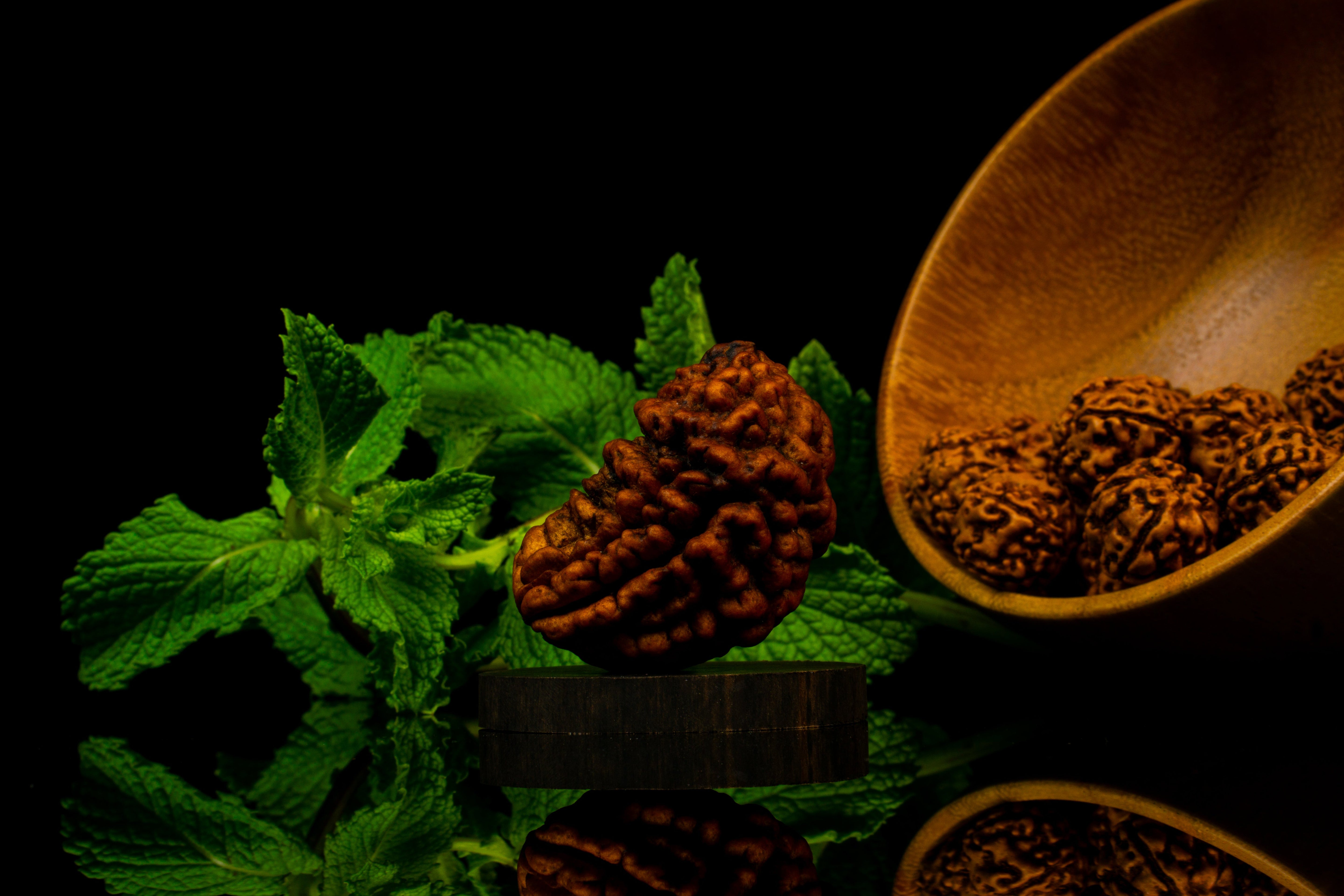 1 Face Rudraksha