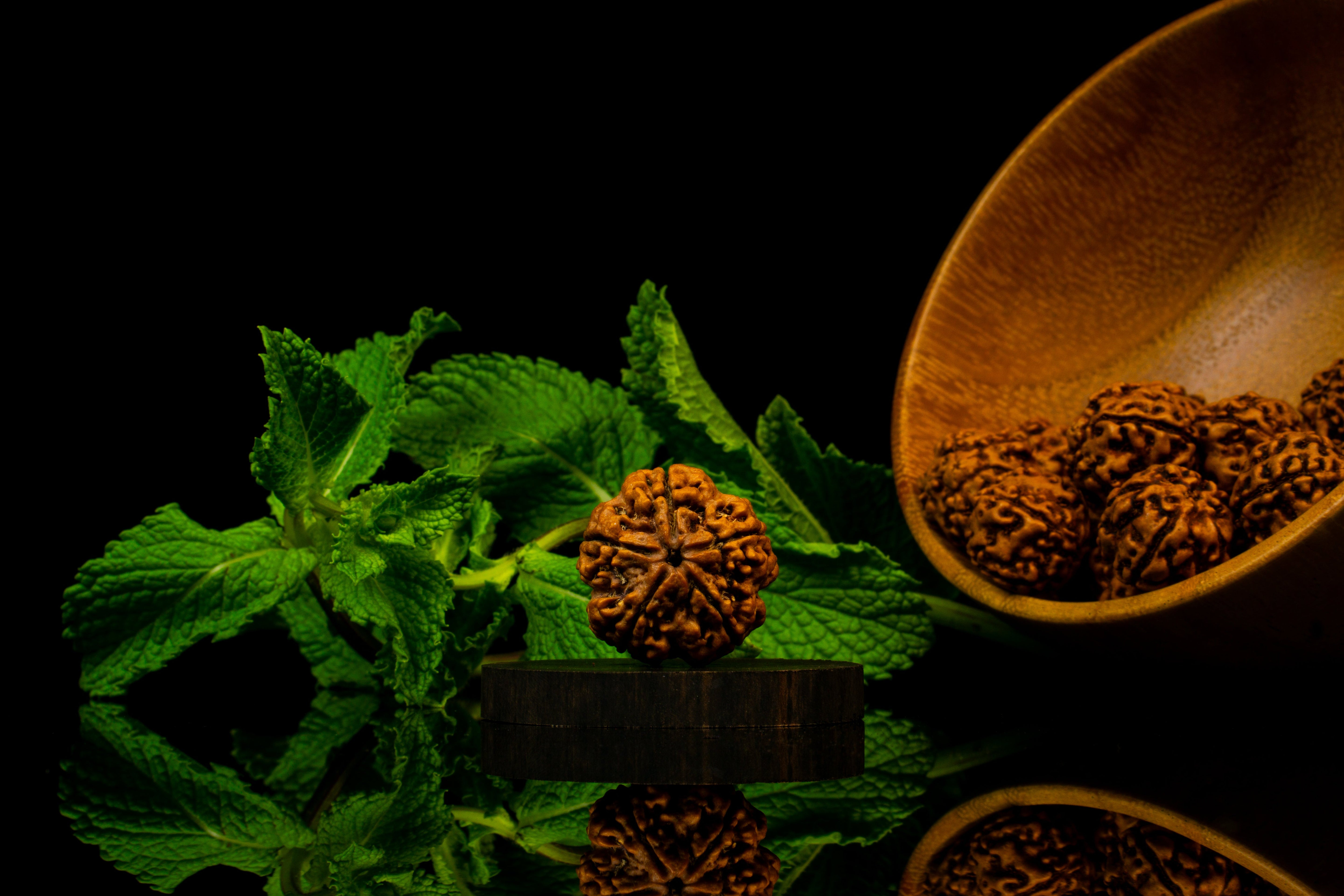 5 Face Rudraksha