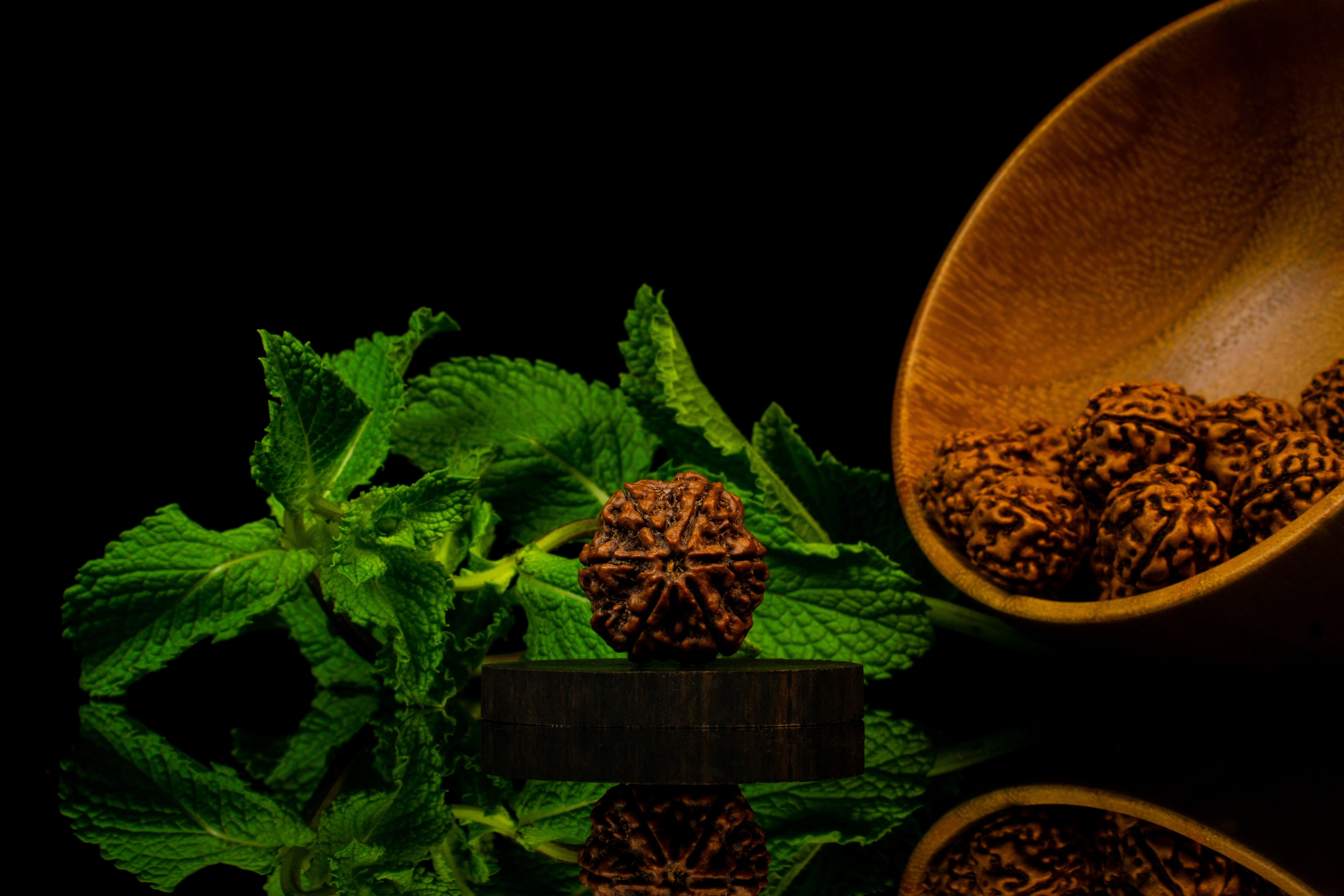 6 Face Rudraksha