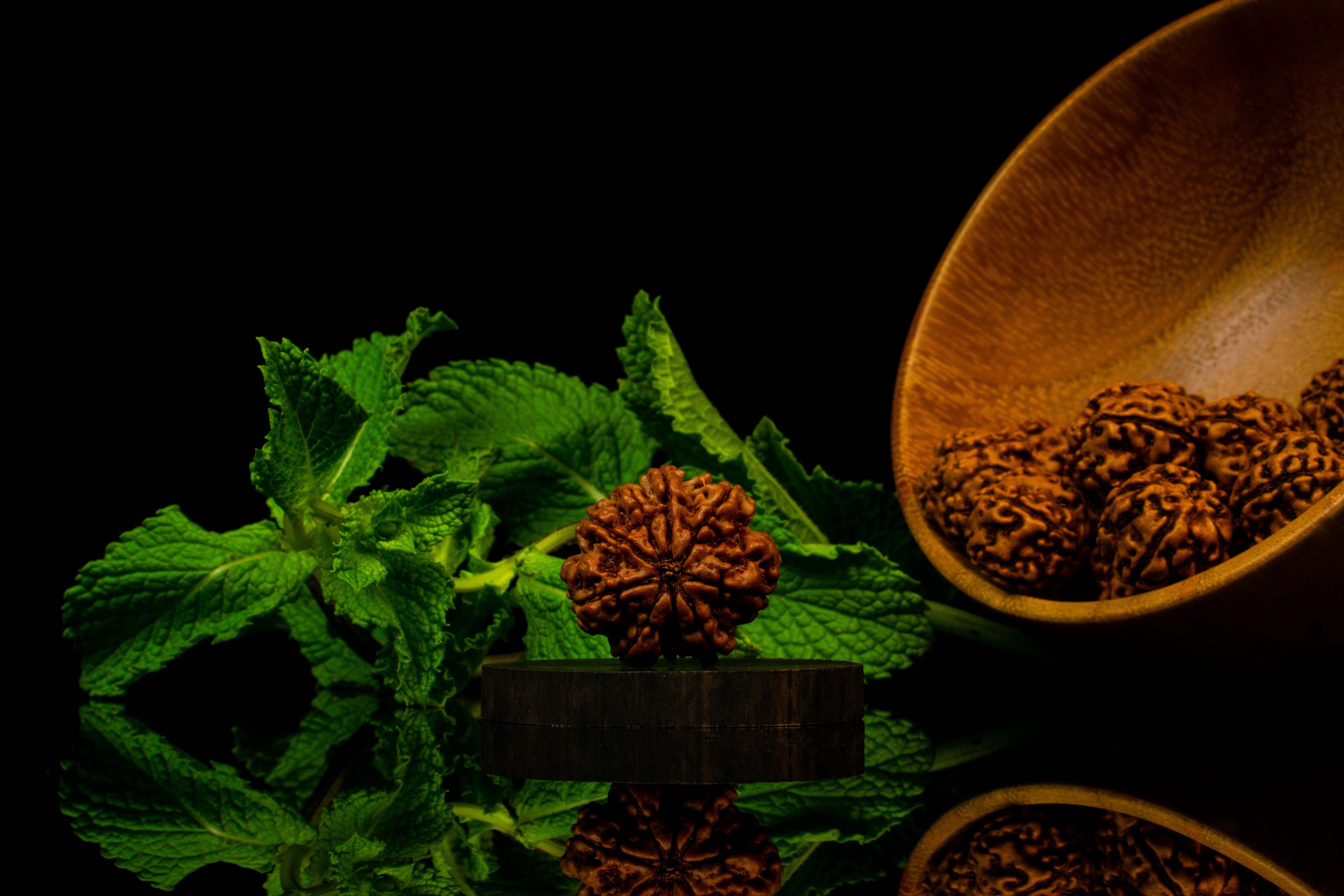 9 Face Rudraksha