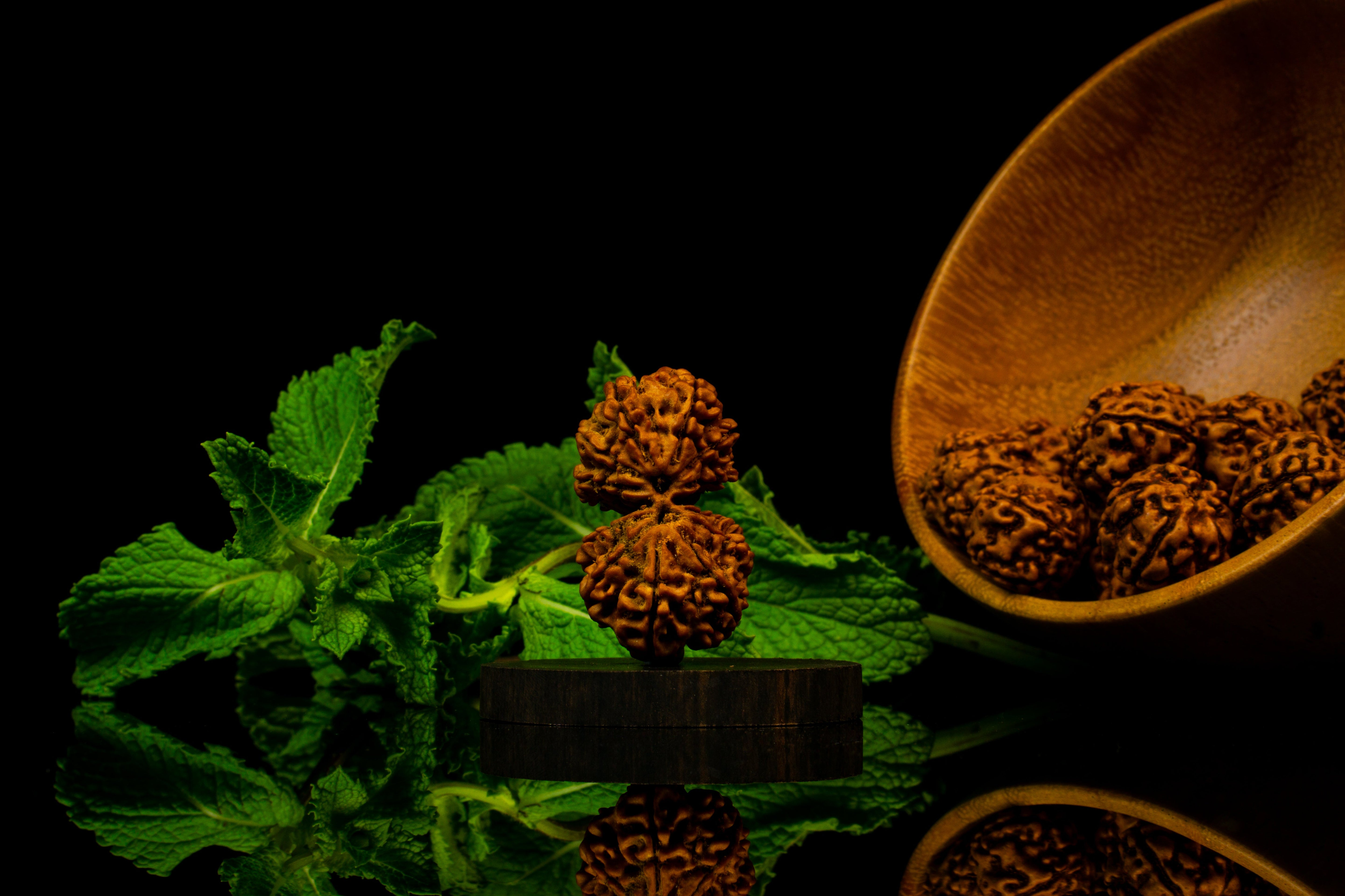 Gauri Shankar Rudraksha