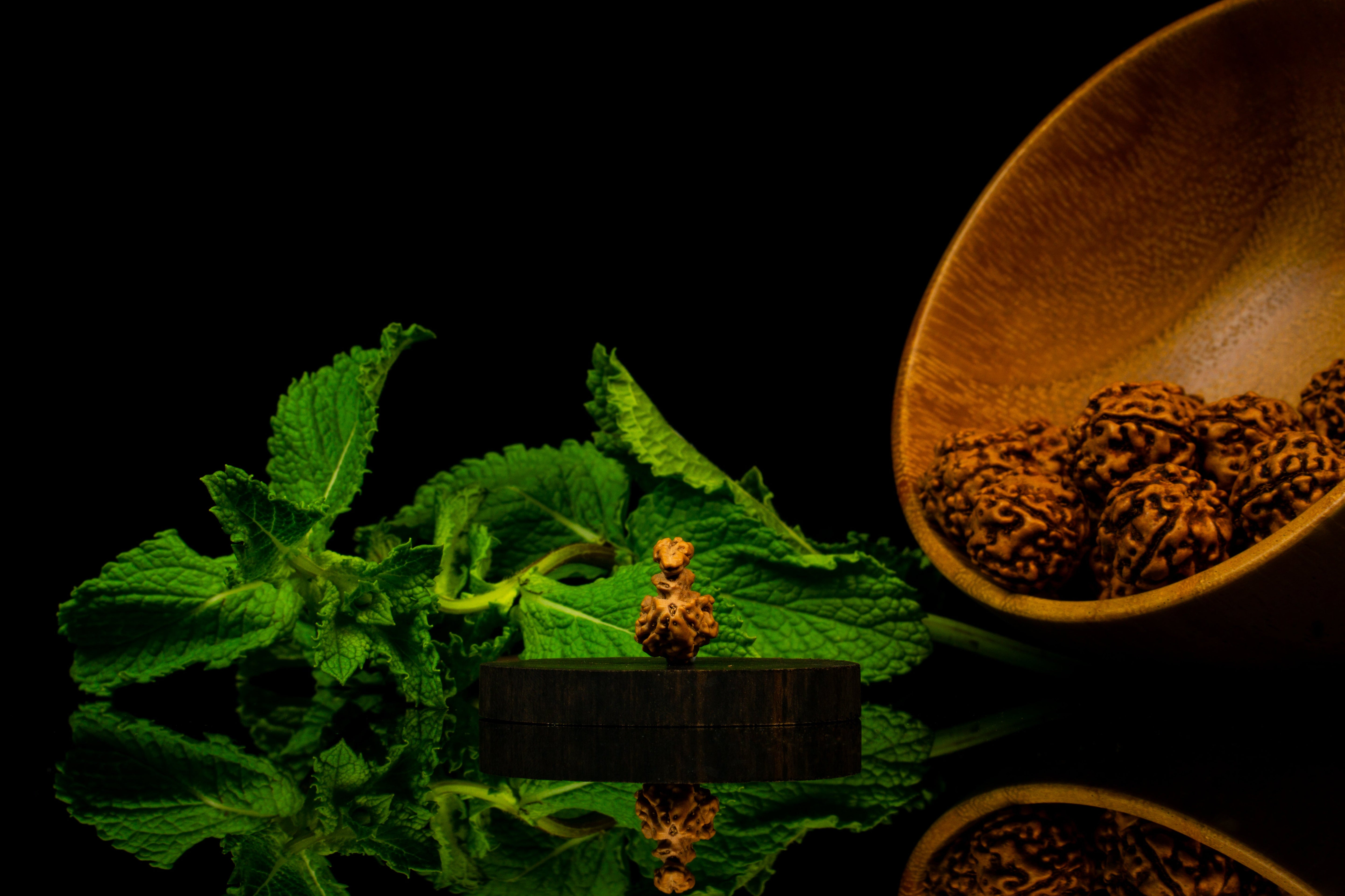 Trijuti Rudraksha