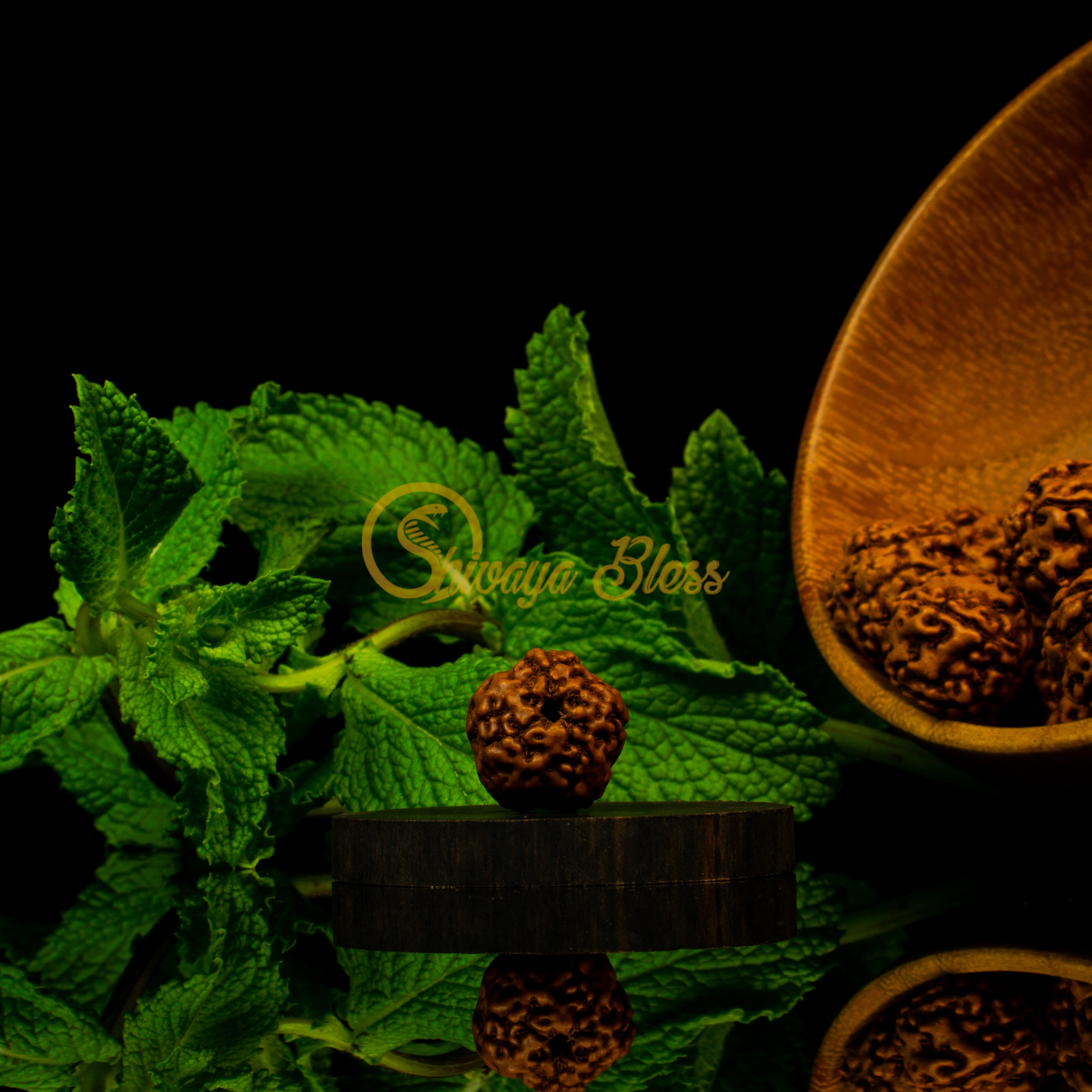 Front view of a grand ASEAN 0 mukhi Rudraksha bead, displayed against a black background