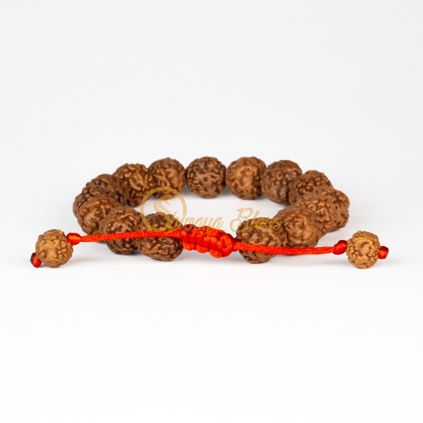 Front view of a regular adjustable ASEAN 0 mukhi Rudraksha bracelet, displayed against a white background