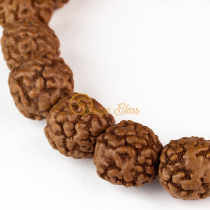 Close-up view of a regular ASEAN 0 mukhi Rudraksha bracelet, displayed against a white background