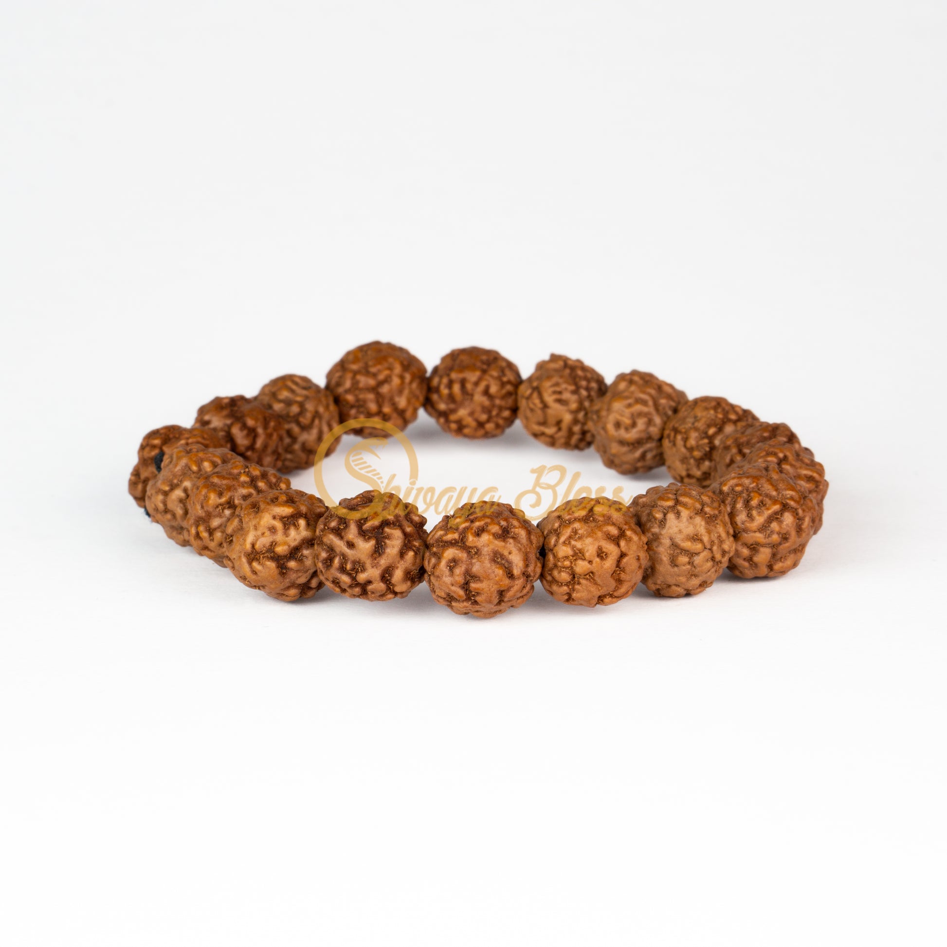 Front view of a regular elastic ASEAN 0 mukhi Rudraksha bracelet, displayed against a white background