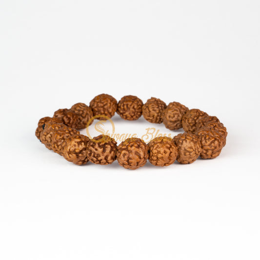 Front view of a regular elastic ASEAN 0 mukhi Rudraksha bracelet, displayed against a white background