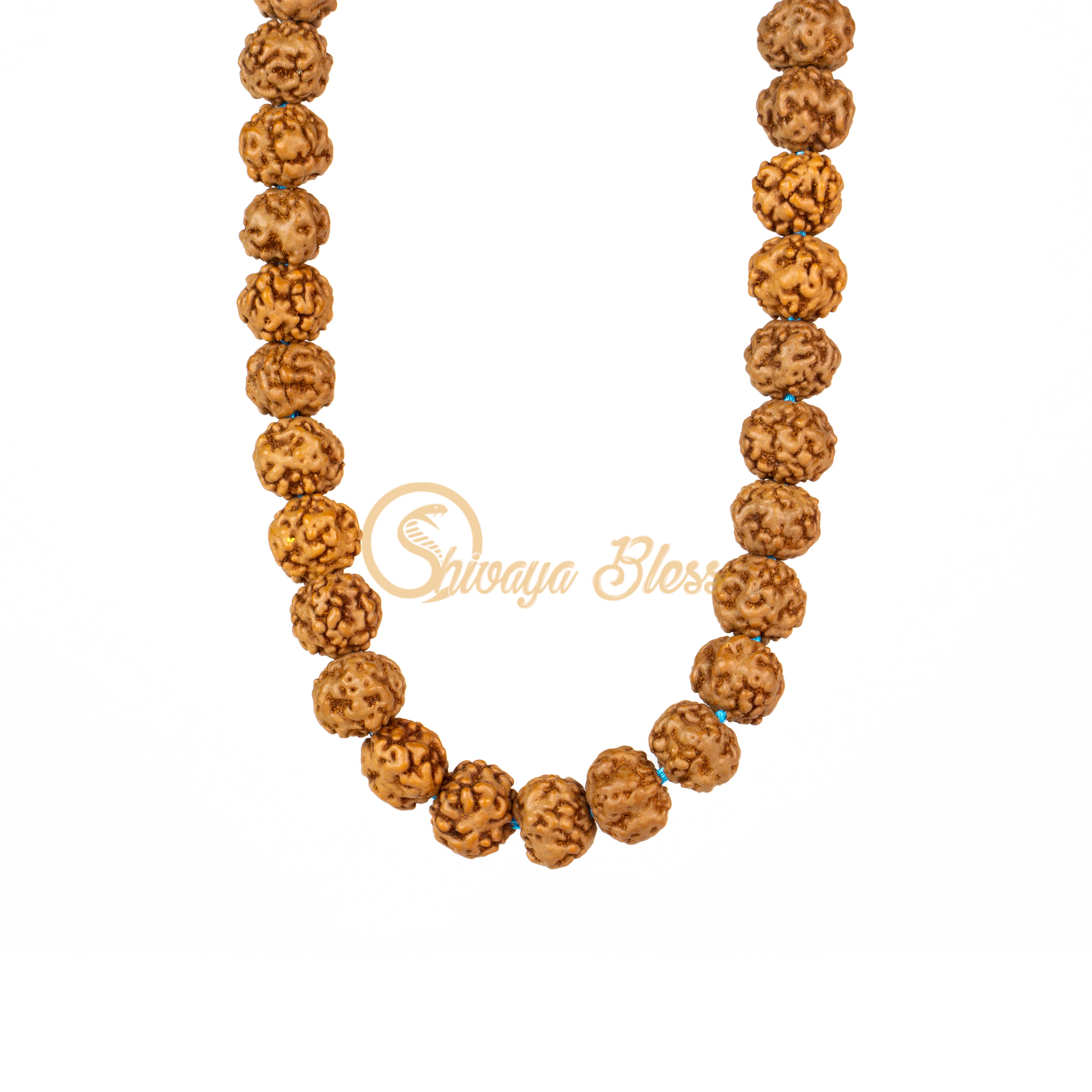Front view of a mini ASEAN 0 mukhi Rudraksha mala necklace, hanging against a white background