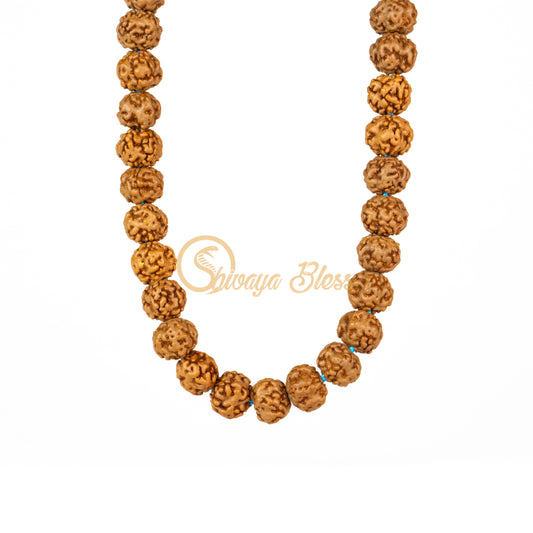 Front view of a mini ASEAN 0 mukhi Rudraksha mala necklace, hanging against a white background