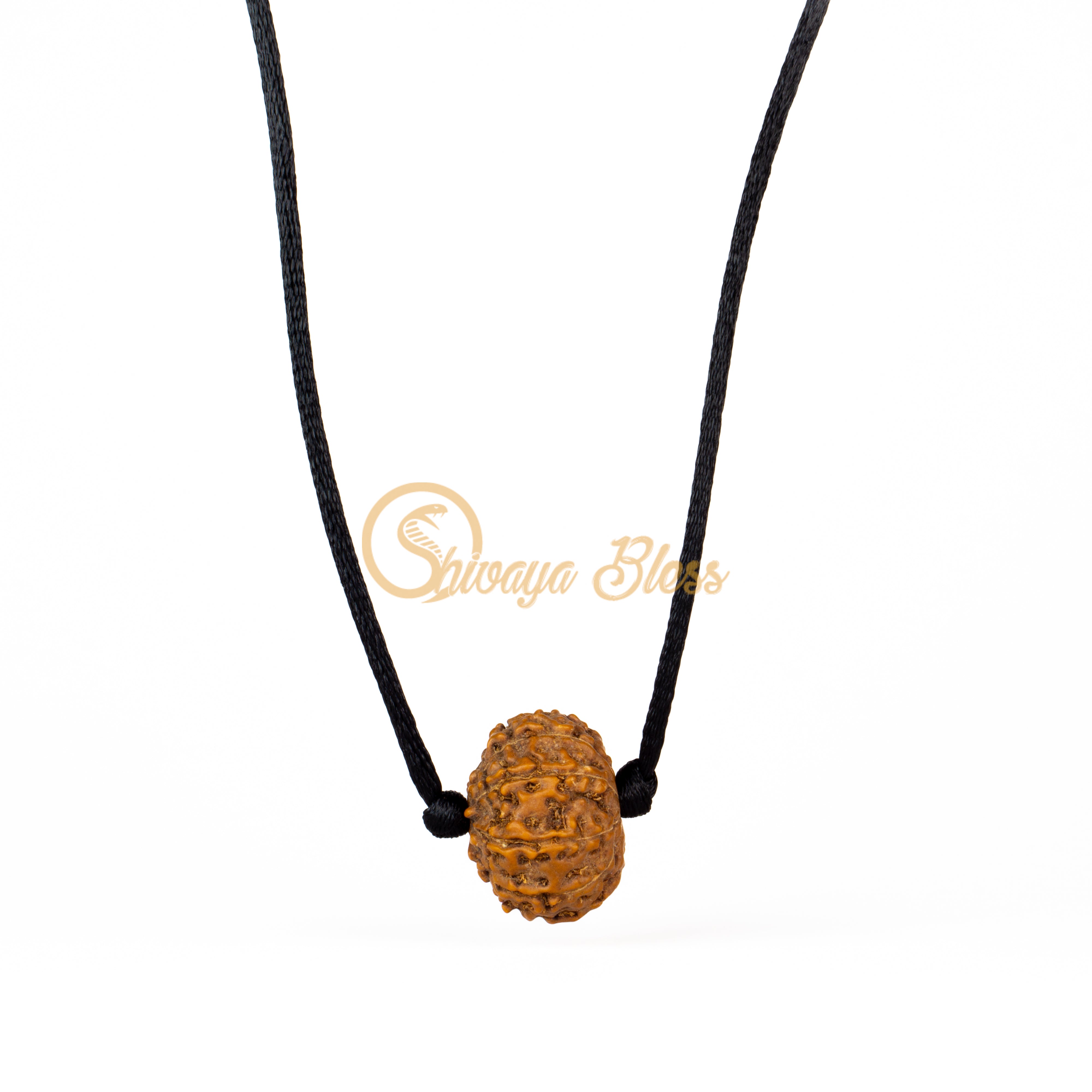 10 Face Rudraksha Pendant Necklace