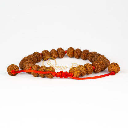 Front view of a mini adjustable ASEAN 10 mukhi Rudraksha bracelet, displayed against a white background