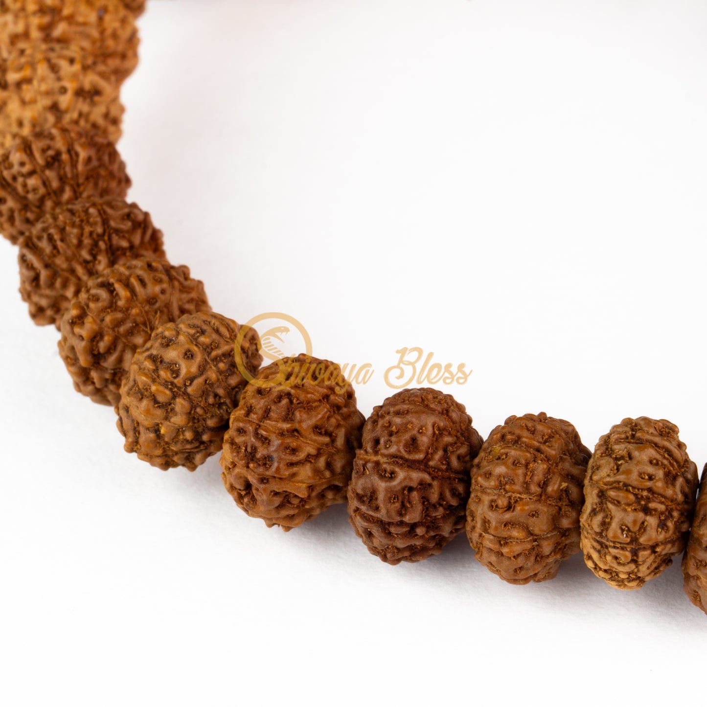 Close-up view of a mini ASEAN 10 mukhi Rudraksha bracelet, displayed against a white background