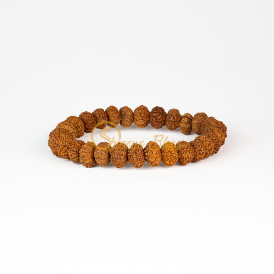 Front view of a mini elastic ASEAN 10 mukhi Rudraksha bracelet, displayed against a white background