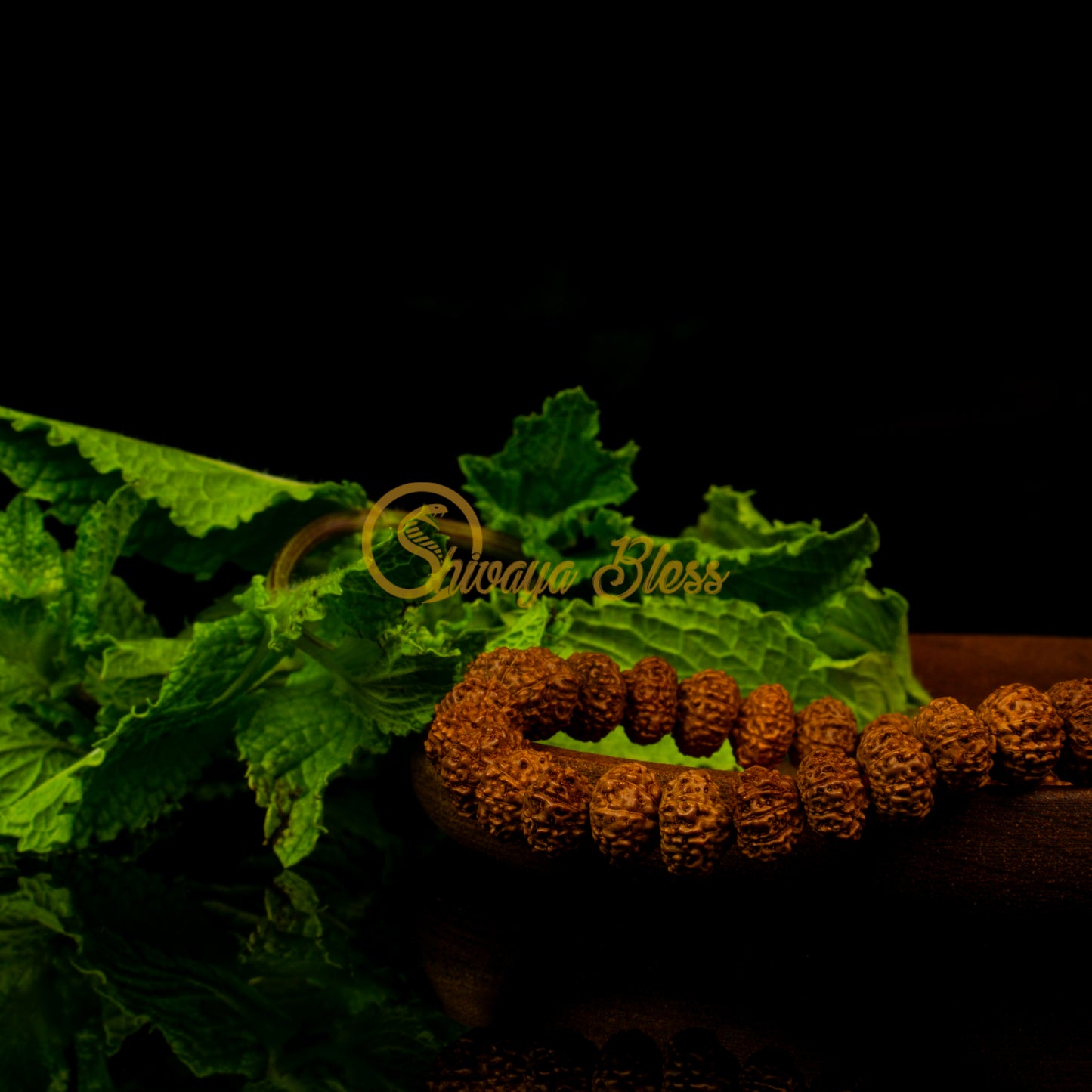 Close-up view of a mini ASEAN 10 mukhi Rudraksha bracelet on a wooden plate, displayed against a black background