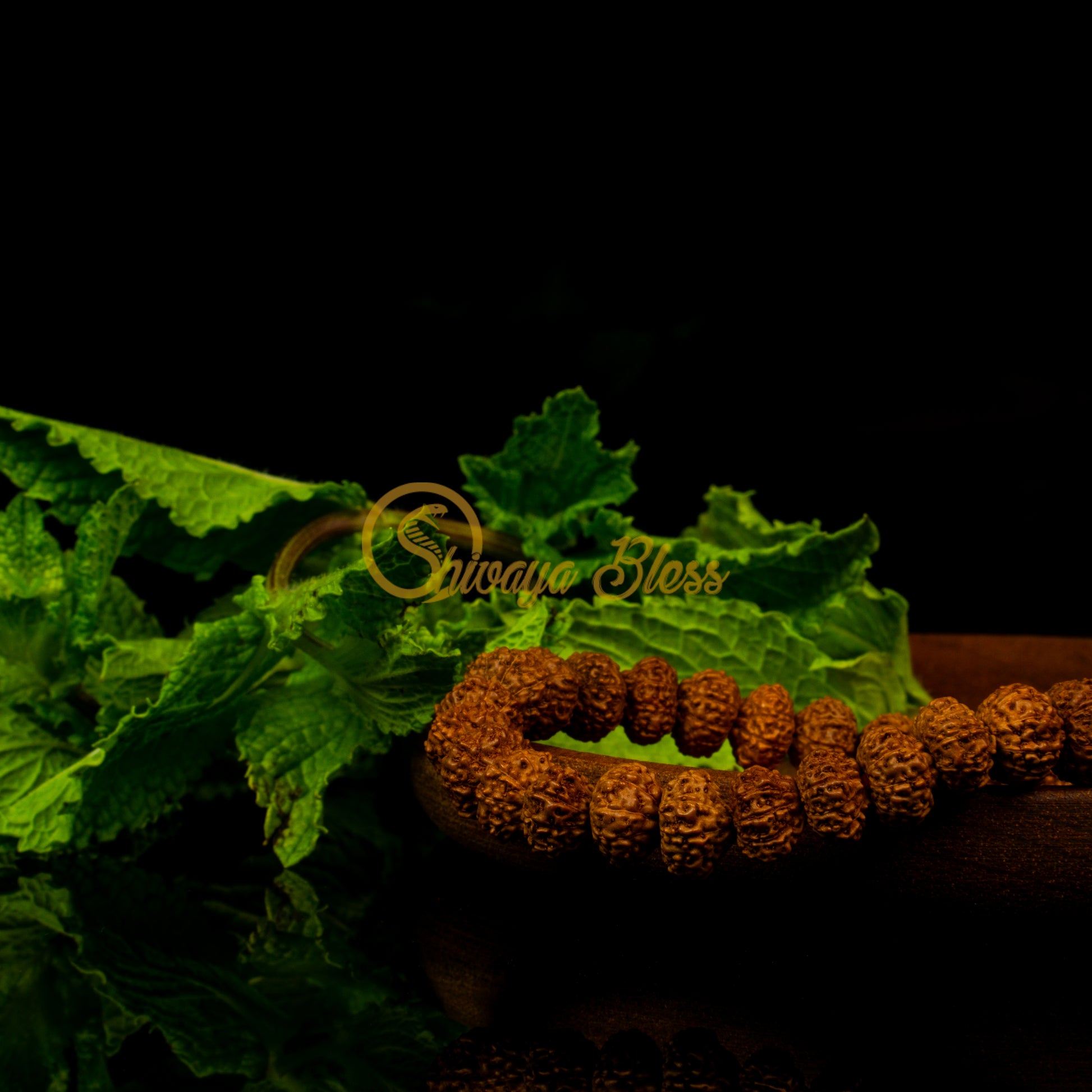 Close-up view of a mini ASEAN 10 mukhi Rudraksha bracelet on a wooden plate, displayed against a black background