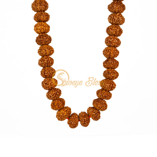 Front view of a mini ASEAN 10 mukhi Rudraksha mala necklace, hanging against a white background