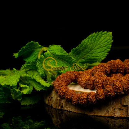 Close-up view of a mini ASEAN 10 mukhi Rudraksha mala necklace on a wooden slice, displayed against a black background