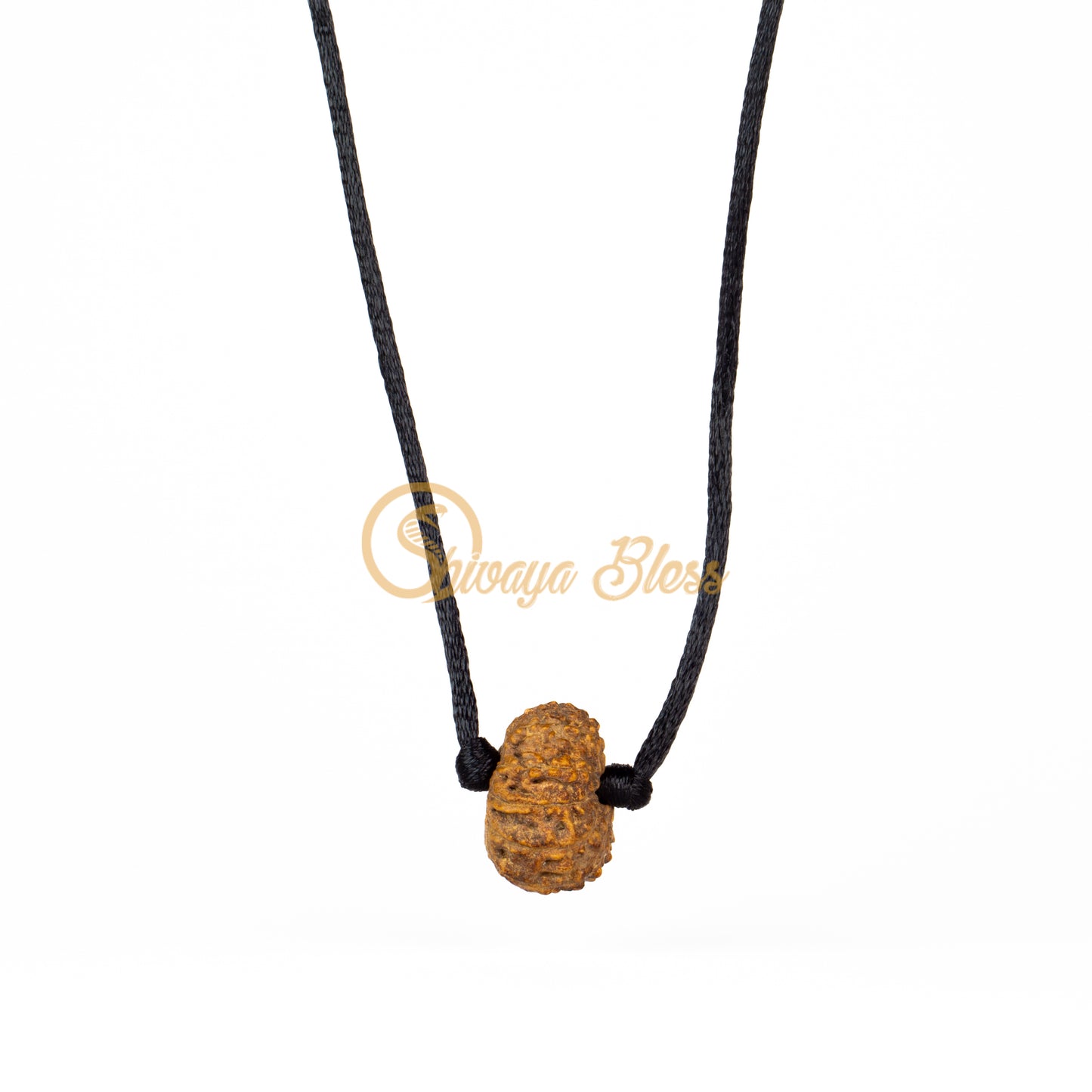 11 Mukhi Rudraksha Pendant