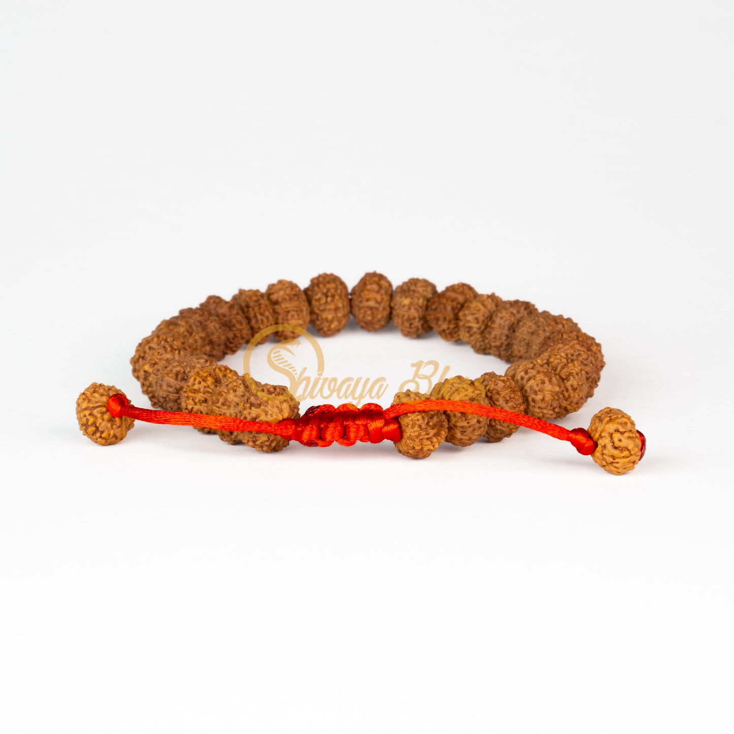 Front view of a small adjustable ASEAN 11 mukhi Rudraksha bracelet, displayed against a white background