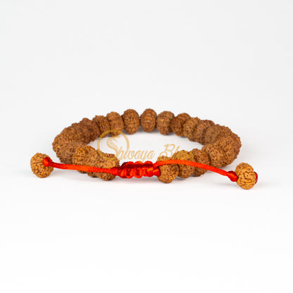 Front view of a small adjustable ASEAN 11 mukhi Rudraksha bracelet, displayed against a white background