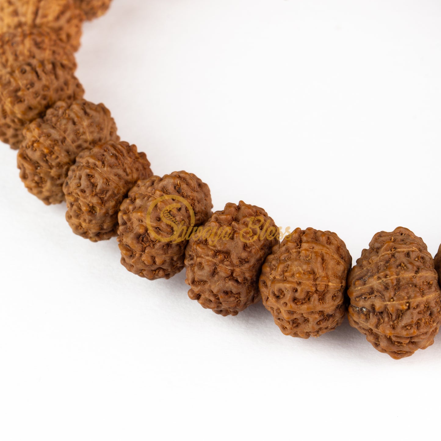 Close-up view of a small ASEAN 11 mukhi Rudraksha bracelet, displayed against a white background