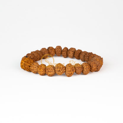 Front view of a small elastic ASEAN 11 mukhi Rudraksha bracelet, displayed against a white background