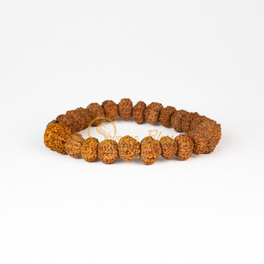 Front view of a small elastic ASEAN 11 mukhi Rudraksha bracelet, displayed against a white background