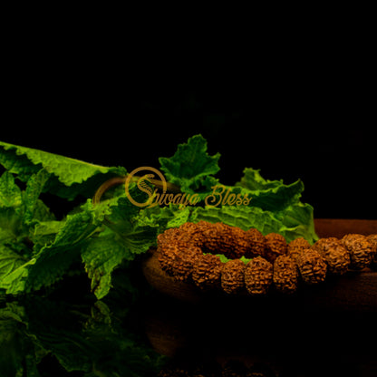 Close-up view of a small ASEAN 11 mukhi Rudraksha bracelet on a wooden plate, displayed against a black background