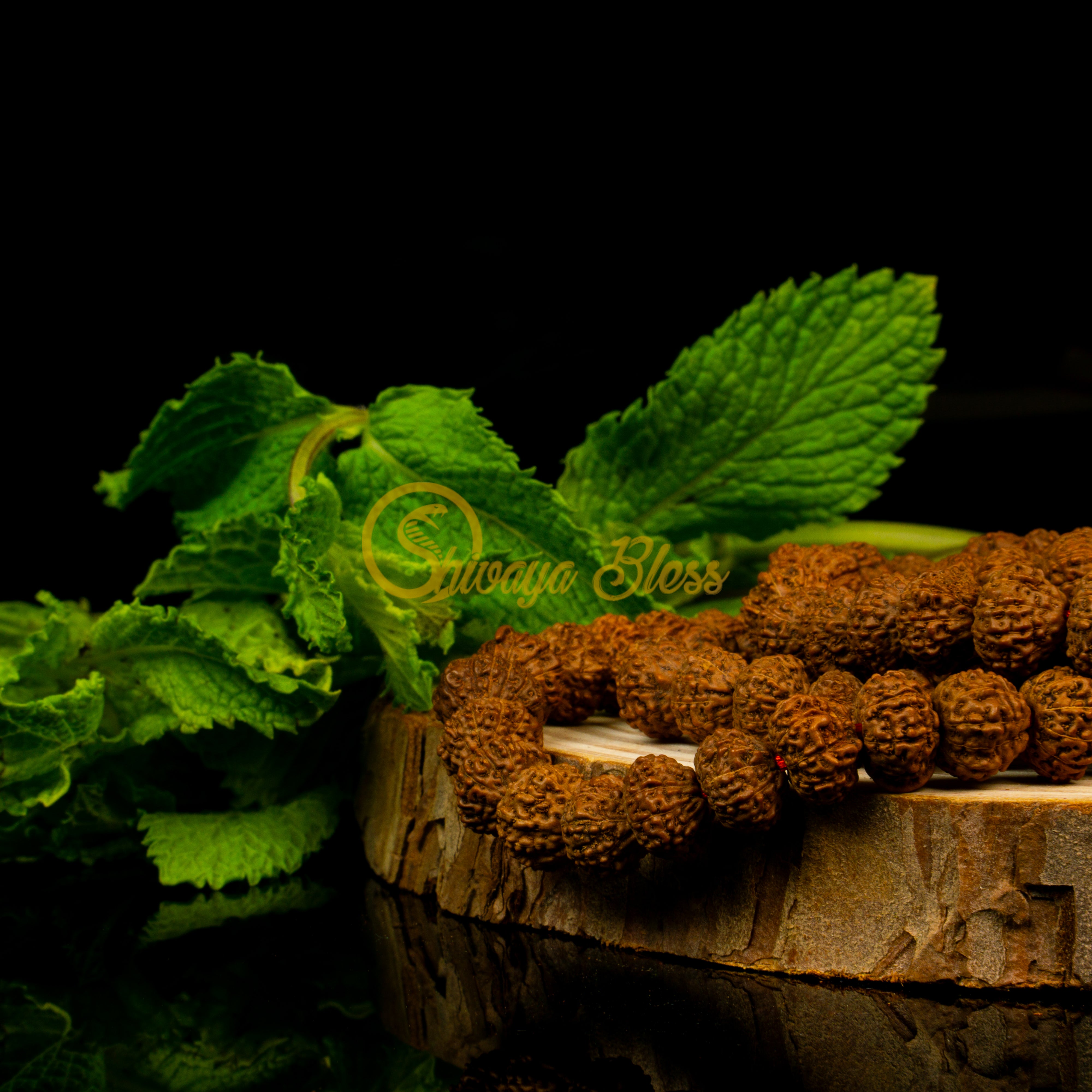Close-up view of a mini ASEAN 11 mukhi Rudraksha mala necklace on a wooden slice, displayed against a black background
