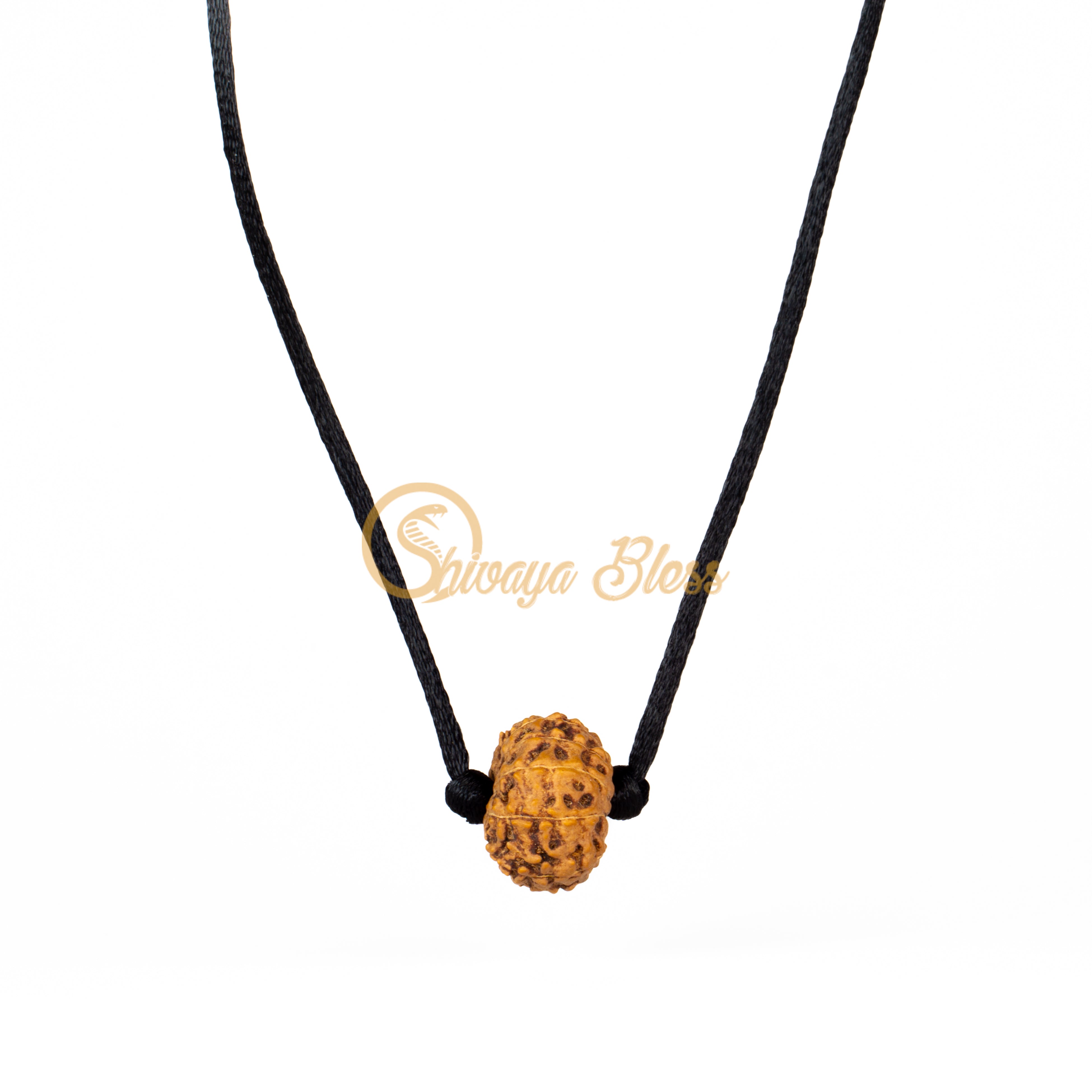 12 Face Rudraksha Pendant Necklace (Nepal)