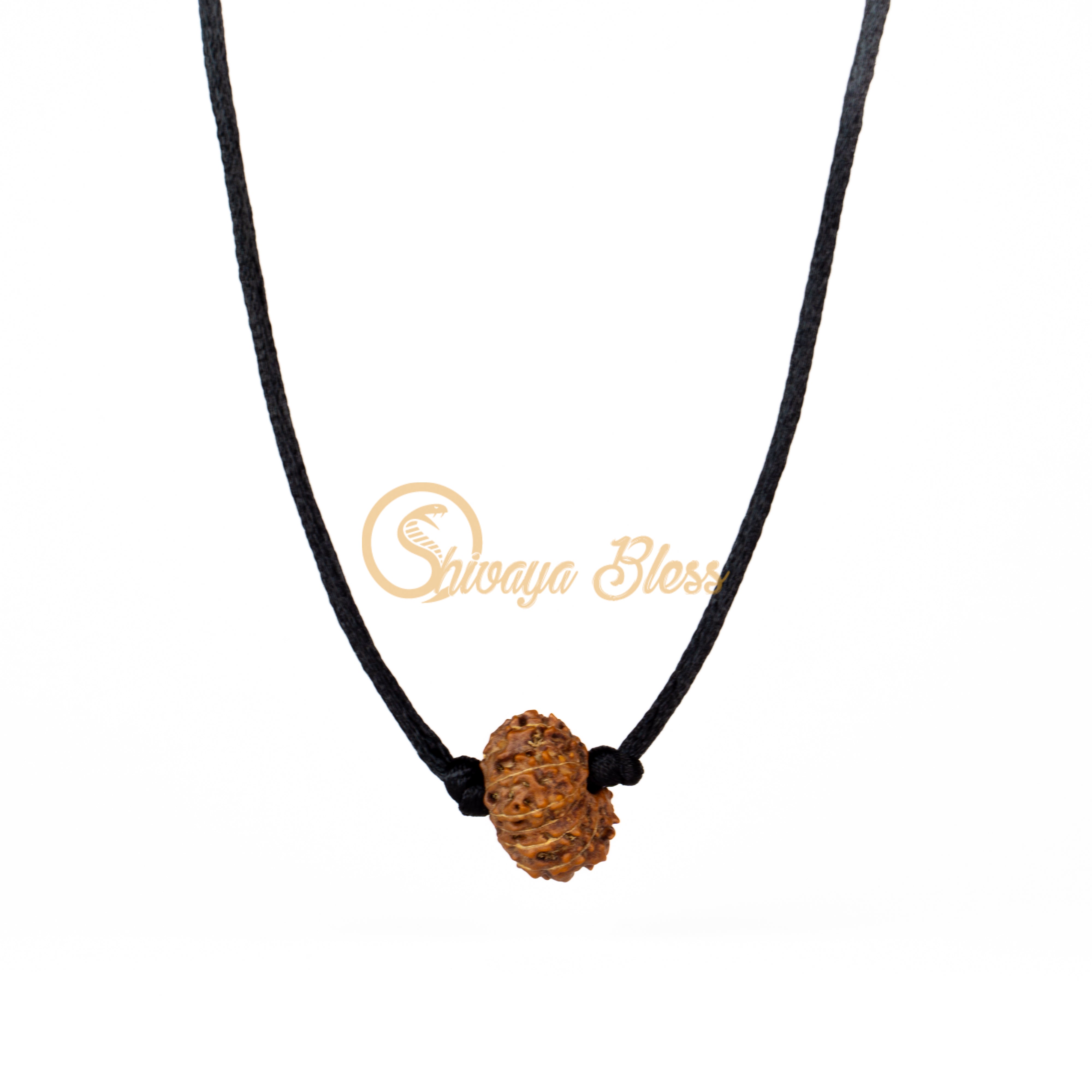 13 Face Rudraksha Pendant Necklace (Nepal)