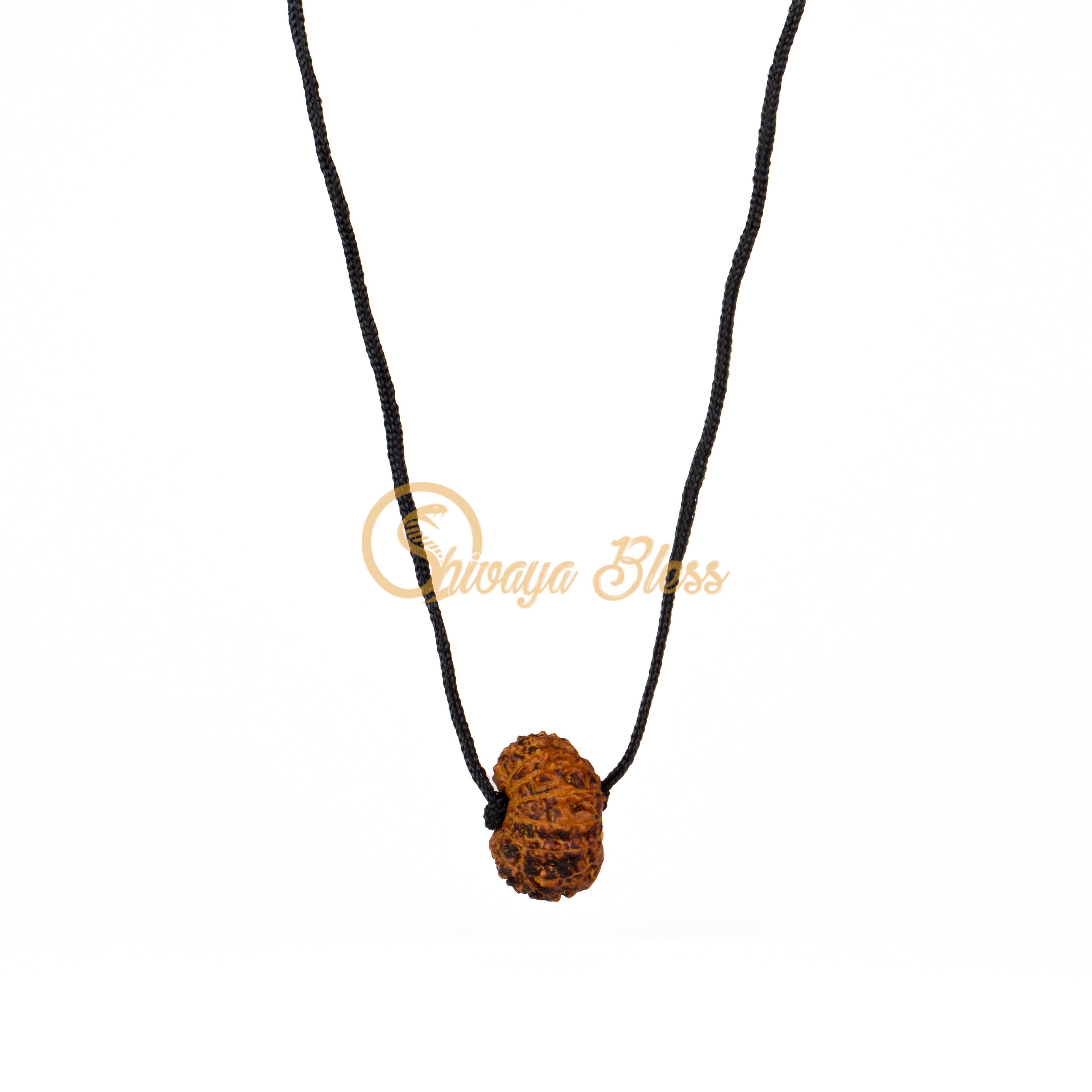 14 Face Rudraksha Pendant Necklace (Nepal)