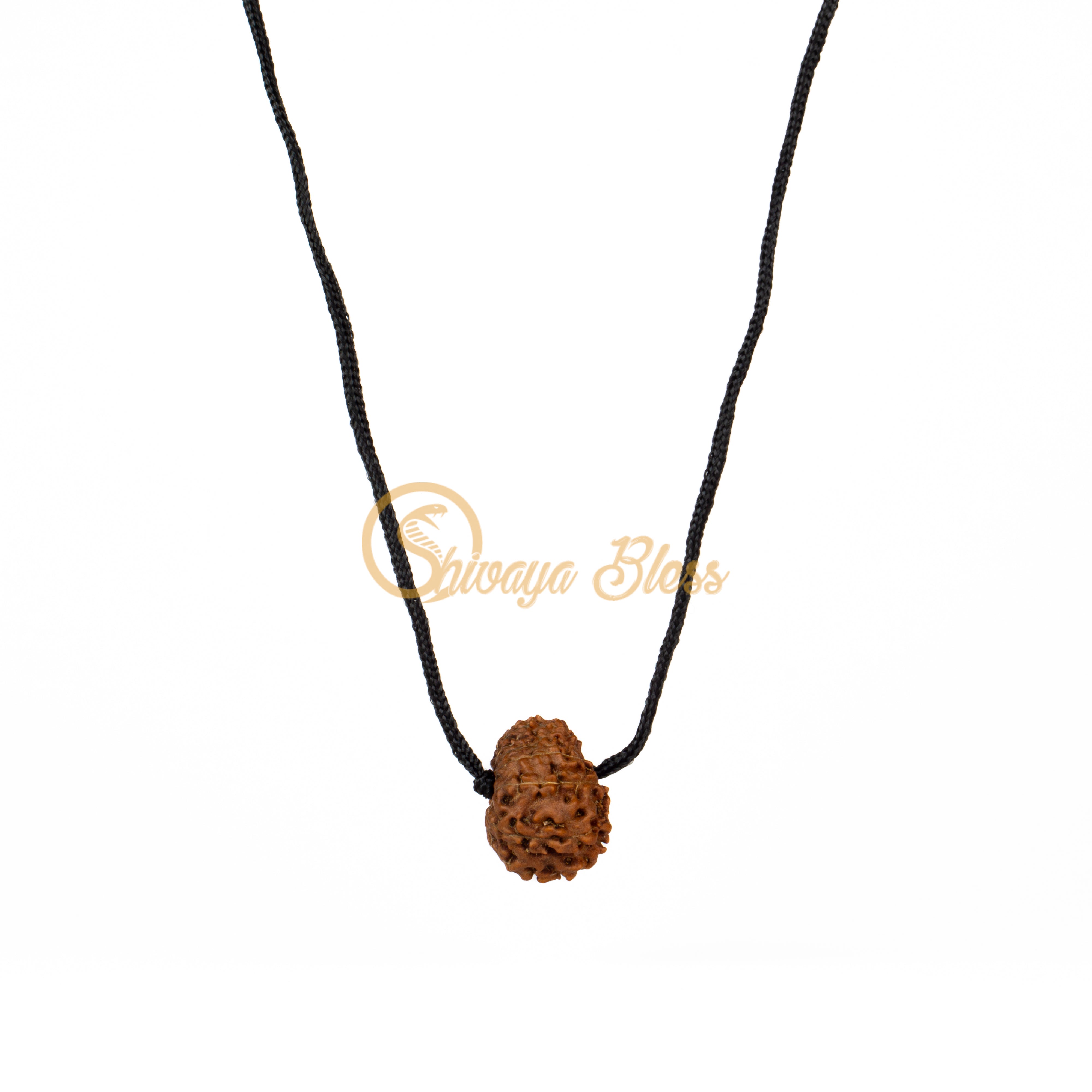 15 Face Rudraksha Pendant Necklace (Nepal)