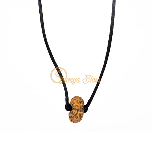 16 Mukhi Rudraksha Pendant