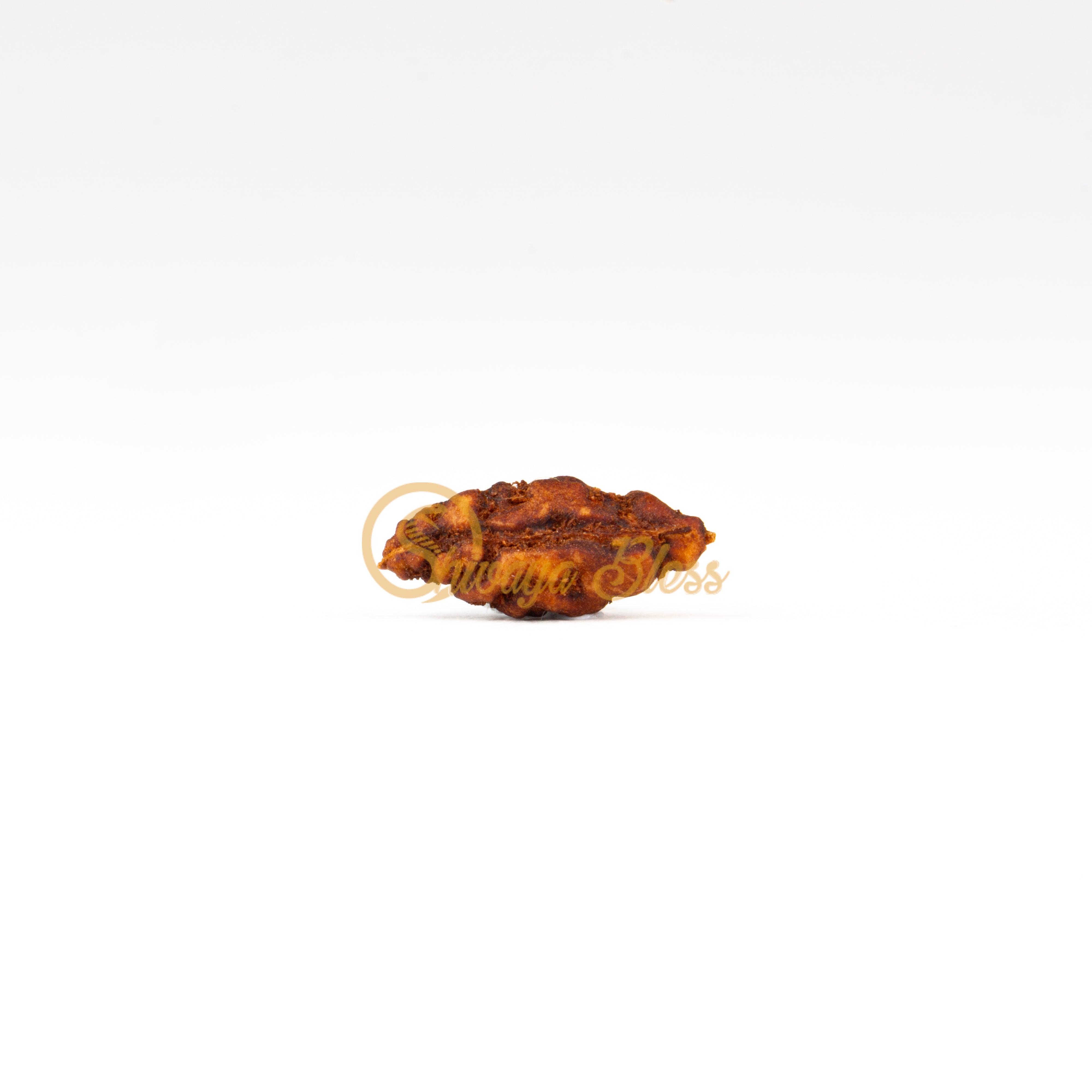Front view of a small ASEAN 1 mukhi Rudraksha bead, displayed against a white background