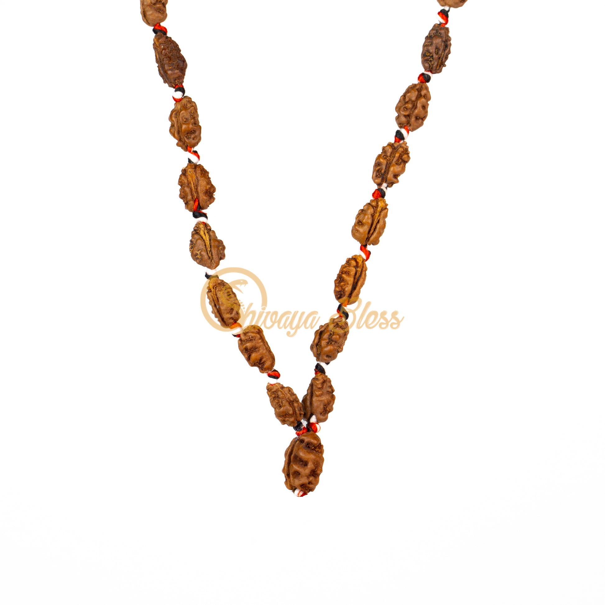 Front view of a mini ASEAN 1 mukhi Rudraksha mala necklace, hanging against a white background