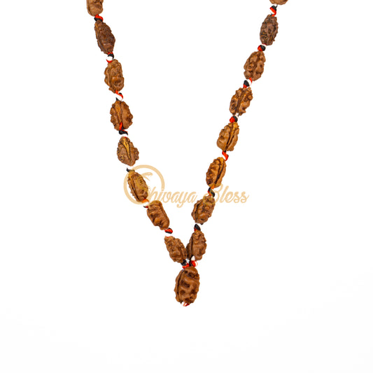 Front view of a mini ASEAN 1 mukhi Rudraksha mala necklace, hanging against a white background