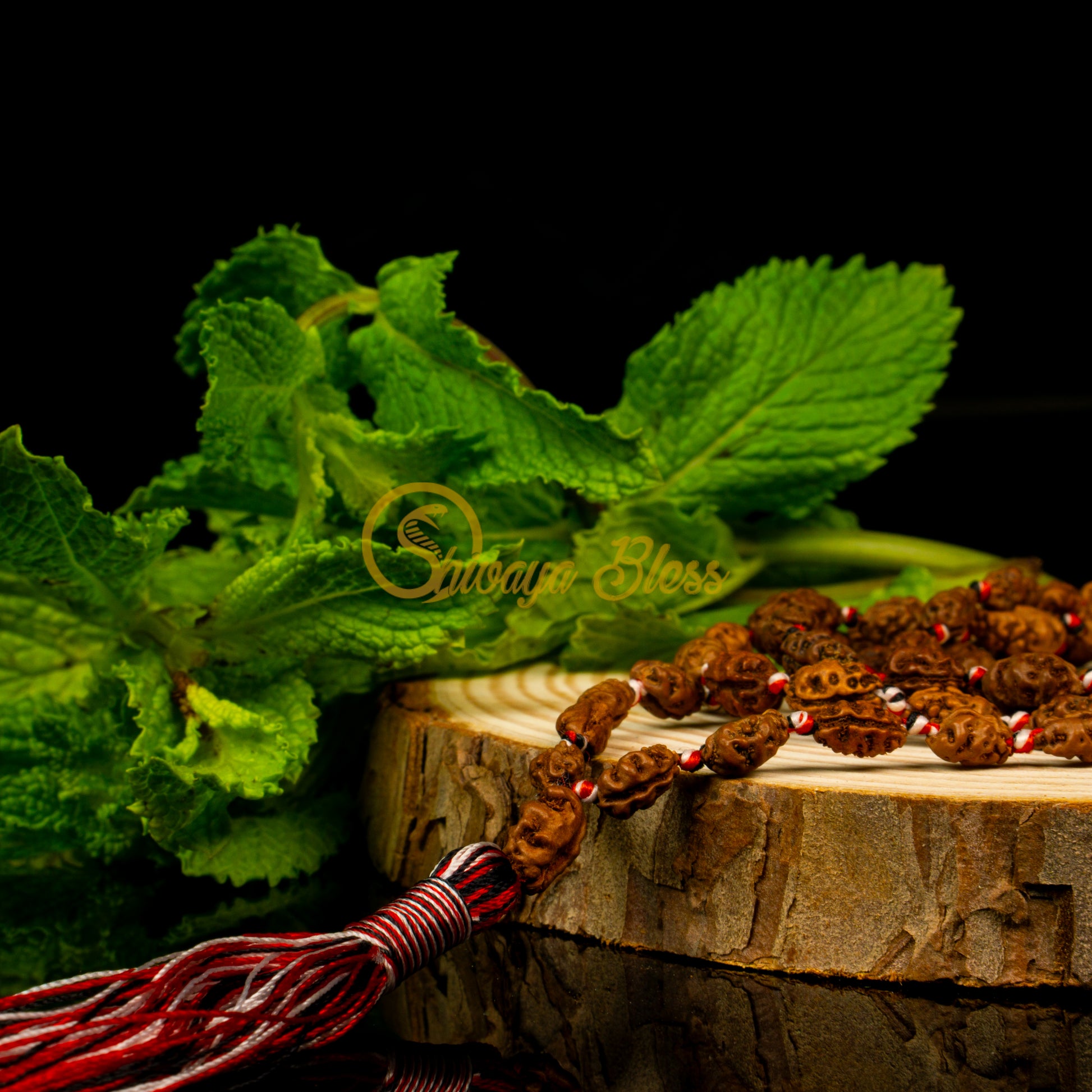 Close-up view of a mini ASEAN 1 mukhi Rudraksha mala necklace on a wooden slice, displayed against a black background