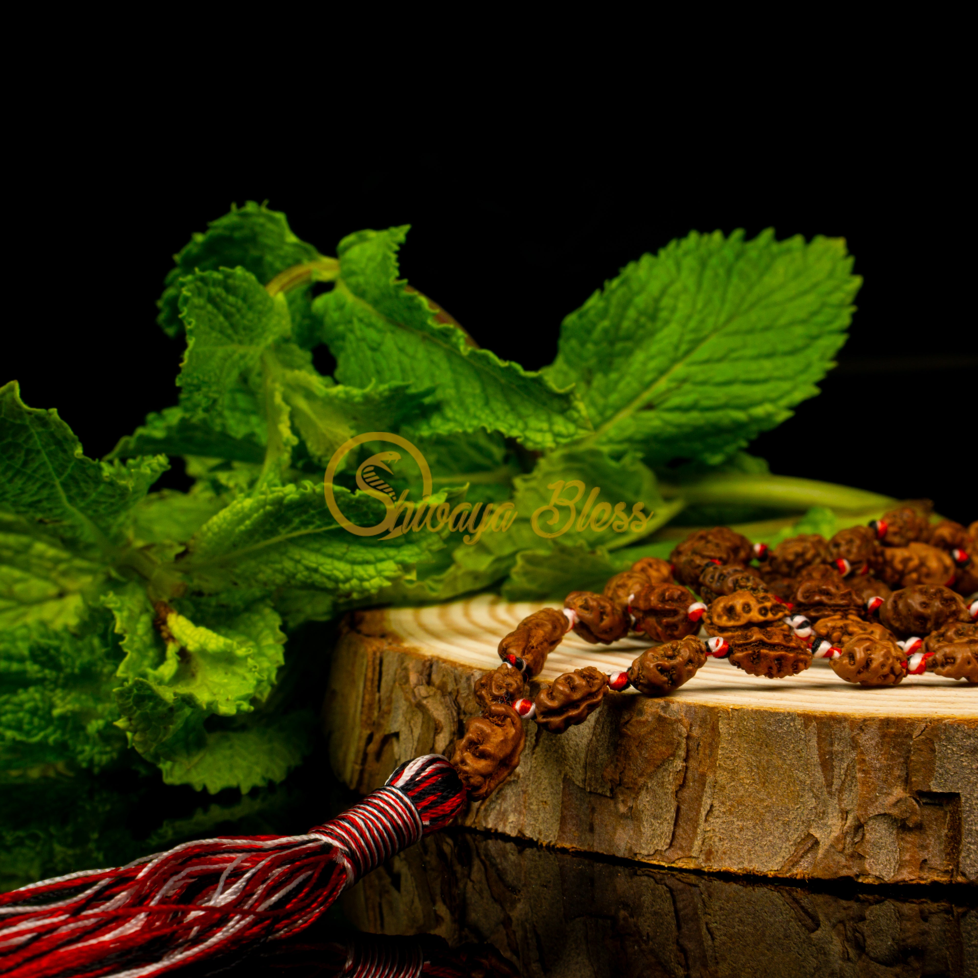 Close-up view of a mini ASEAN 1 mukhi Rudraksha mala necklace on a wooden slice, displayed against a black background