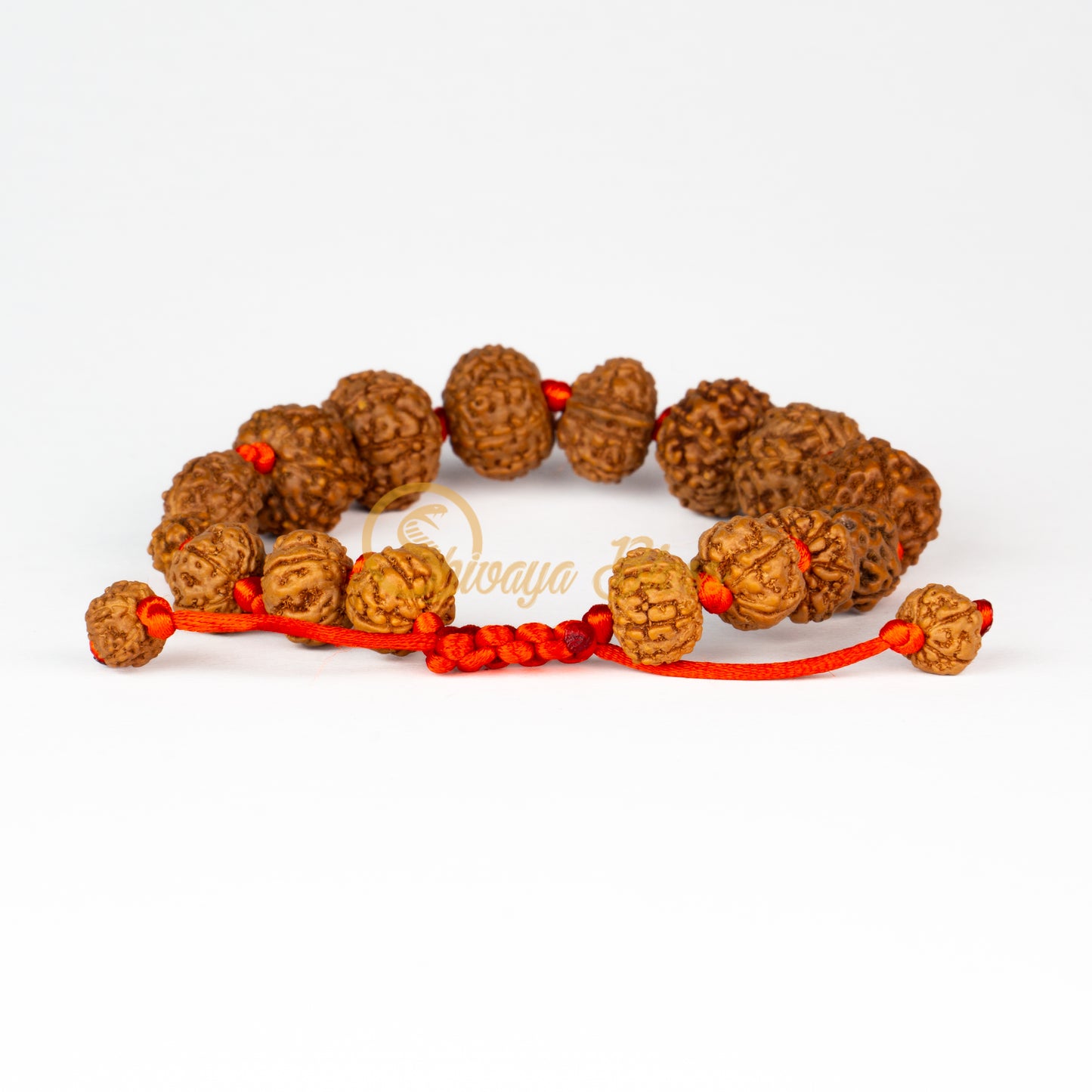 Front view of a small adjustable ASEAN 2 to 10 mukhi + Ganesha Rudraksha combination bracelet, displayed against a white background