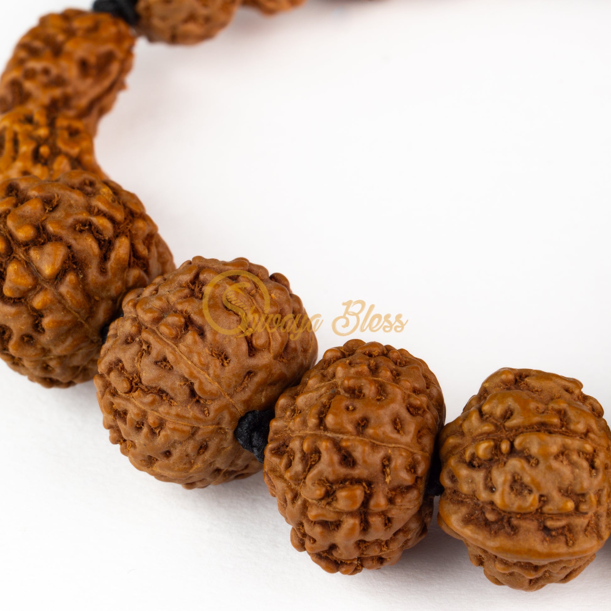 Close-up view of a small ASEAN 2 to 10 mukhi + Ganesha Rudraksha combination bracelet, displayed against a white background