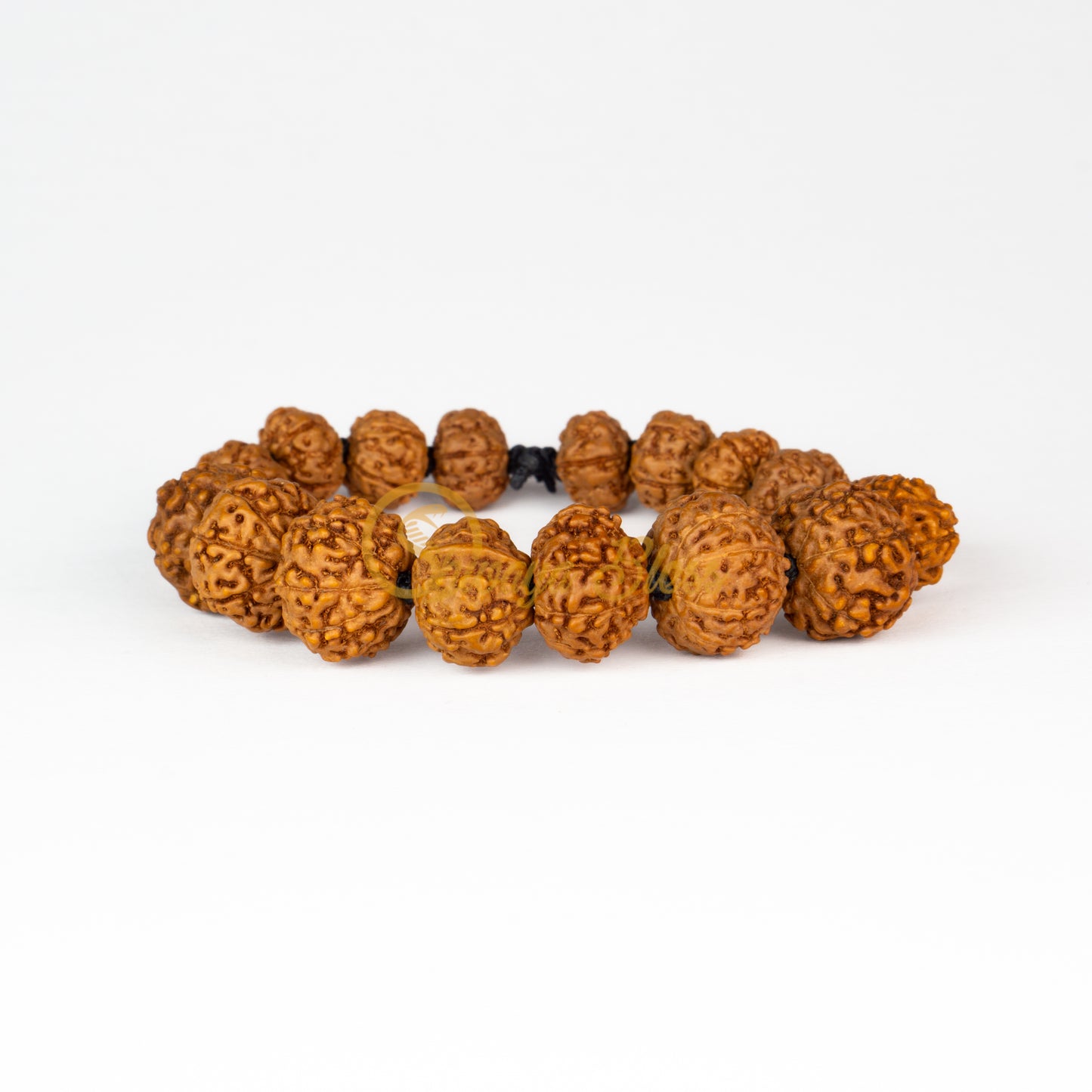 Front view of a small elastic ASEAN 2 to 10 mukhi + Ganesha Rudraksha combination bracelet, displayed against a white background