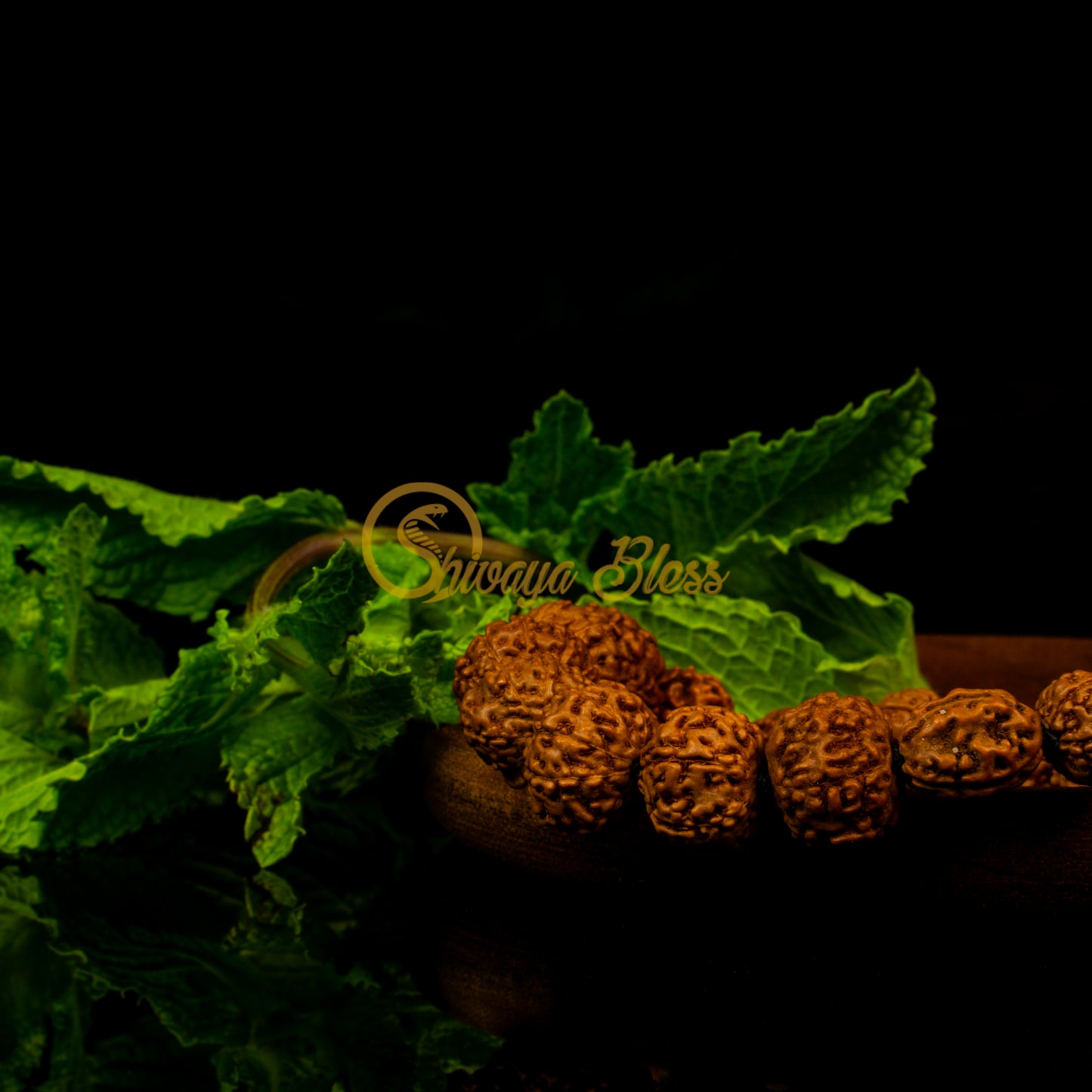 Close-up view of a small ASEAN 2 to 10 mukhi + Ganesha Rudraksha combination bracelet on a wooden plate, displayed against a black background