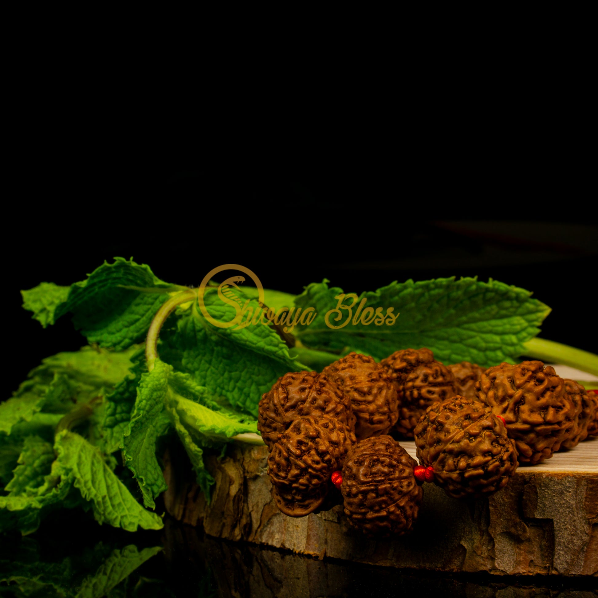 Close-up view of a regular ASEAN 2 to 10 mukhi + Ganesha Rudraksha combination pendant necklace on a wooden slice, displayed against a black background