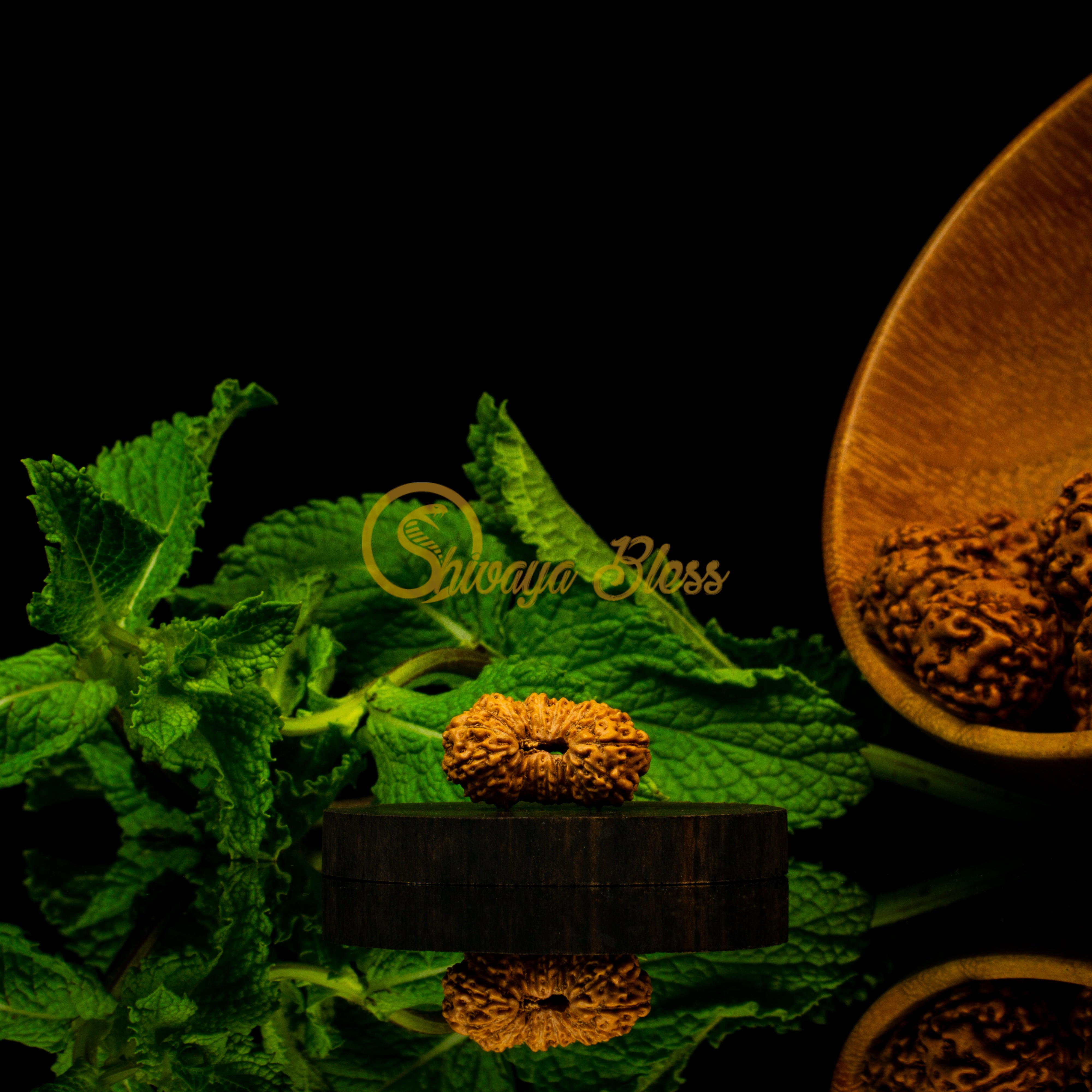 Front view of a large ASEAN 20 mukhi Rudraksha bead, displayed against a black background